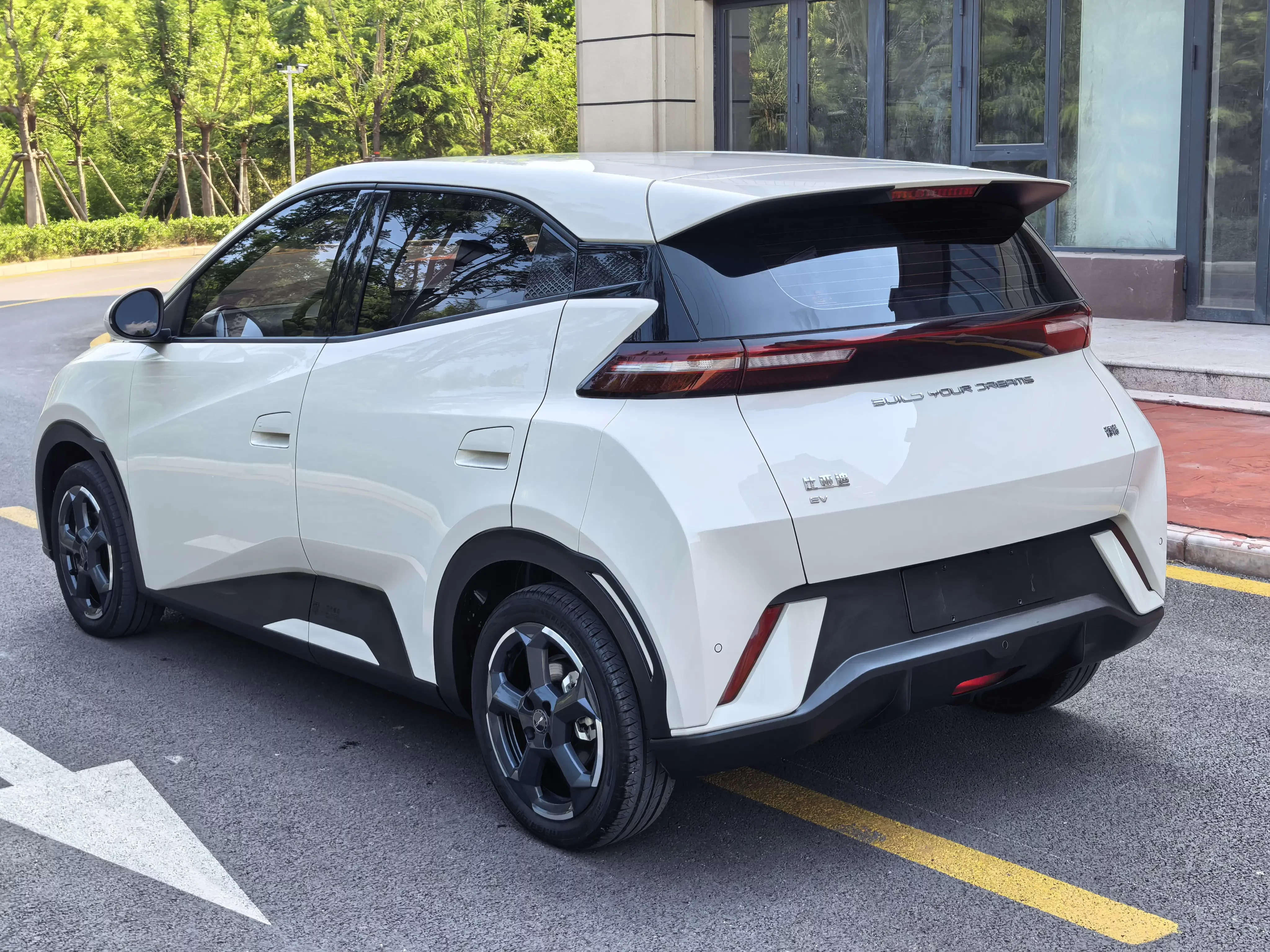 BYD seagull