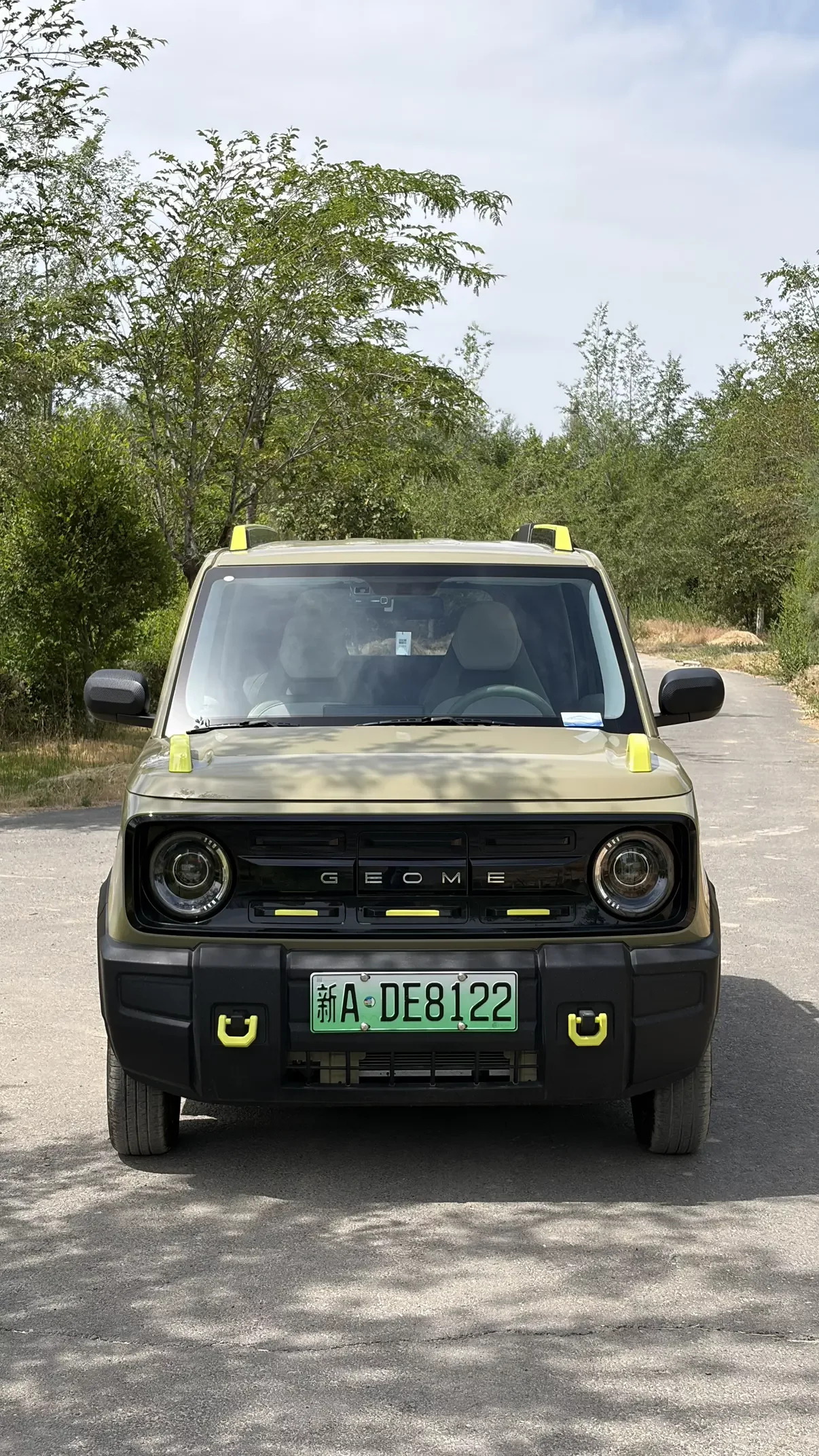 Geely panda
