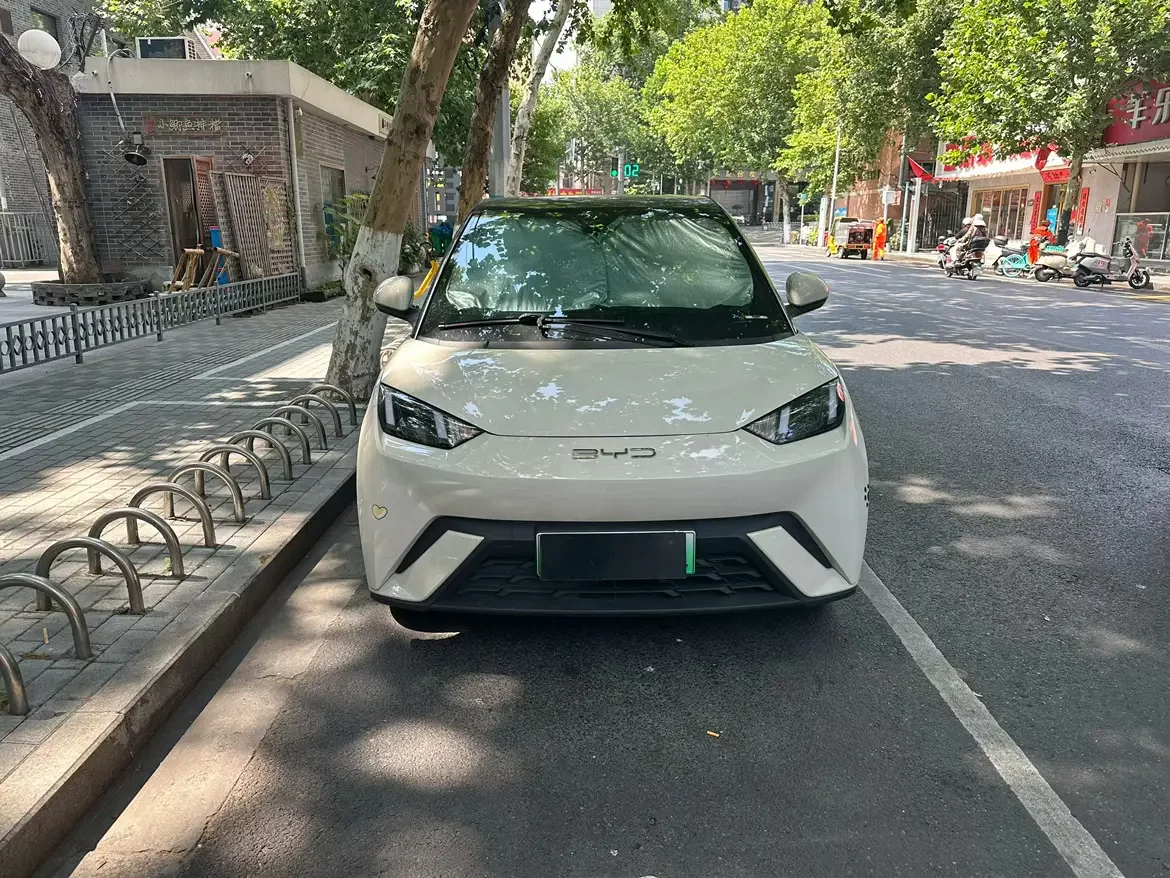 BYD seagull