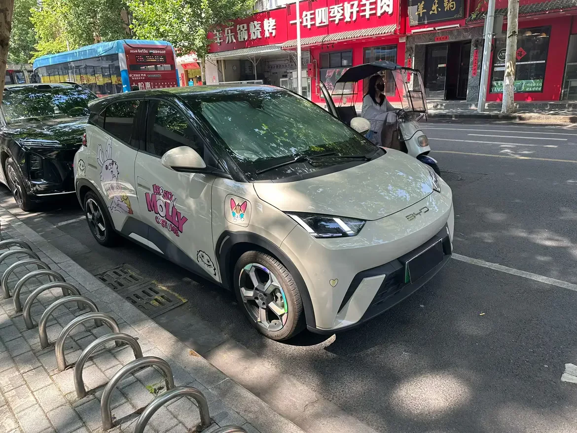 BYD seagull