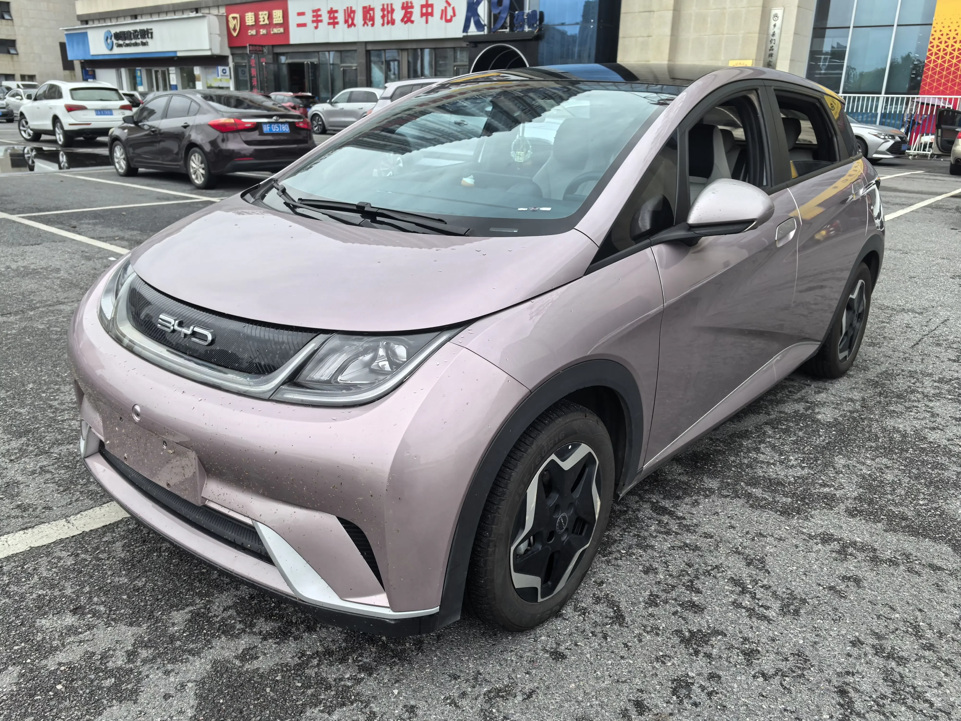BYD dolphin