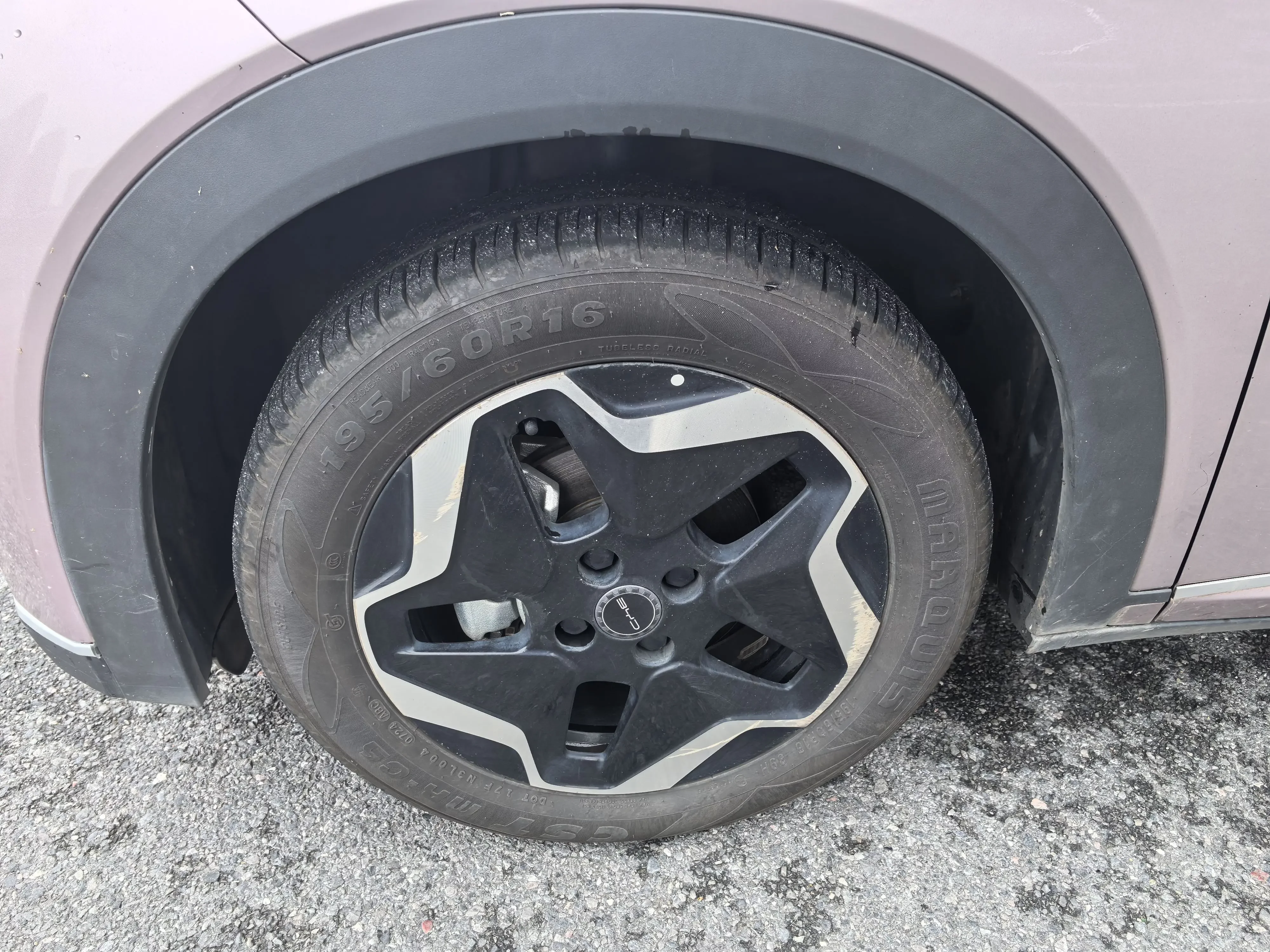 BYD dolphin