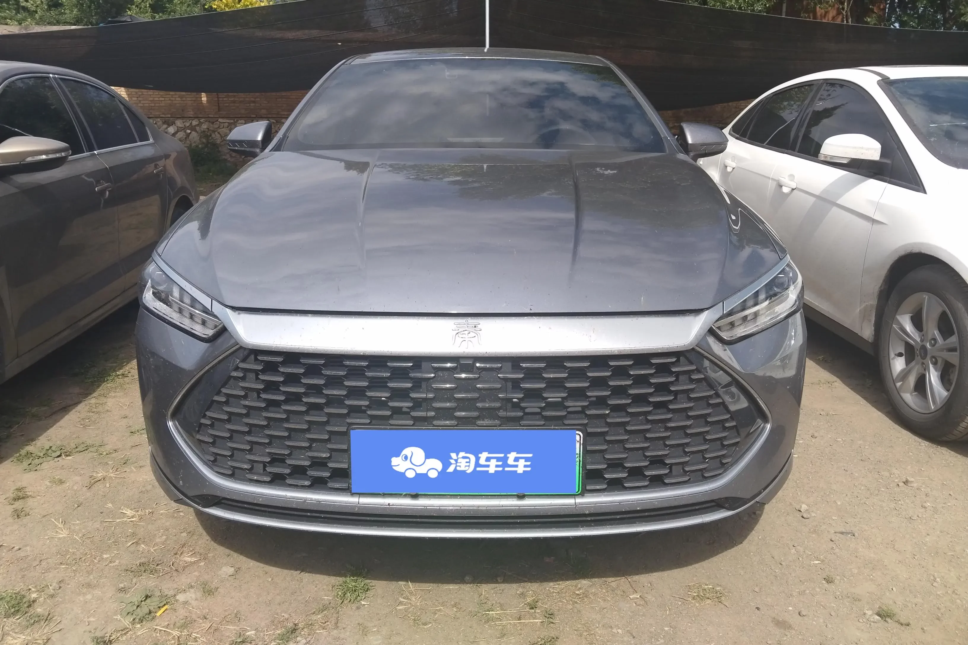 BYD Qin PLUS DM