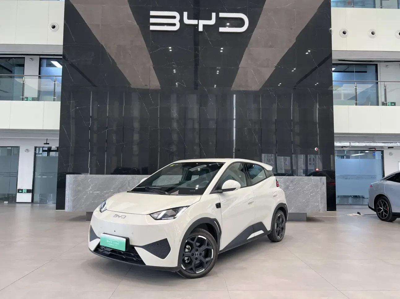 BYD seagull