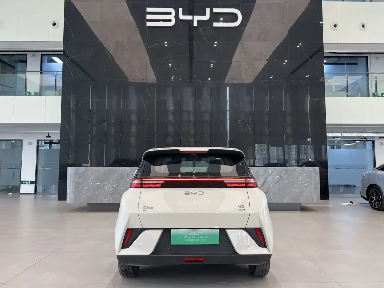BYD seagull