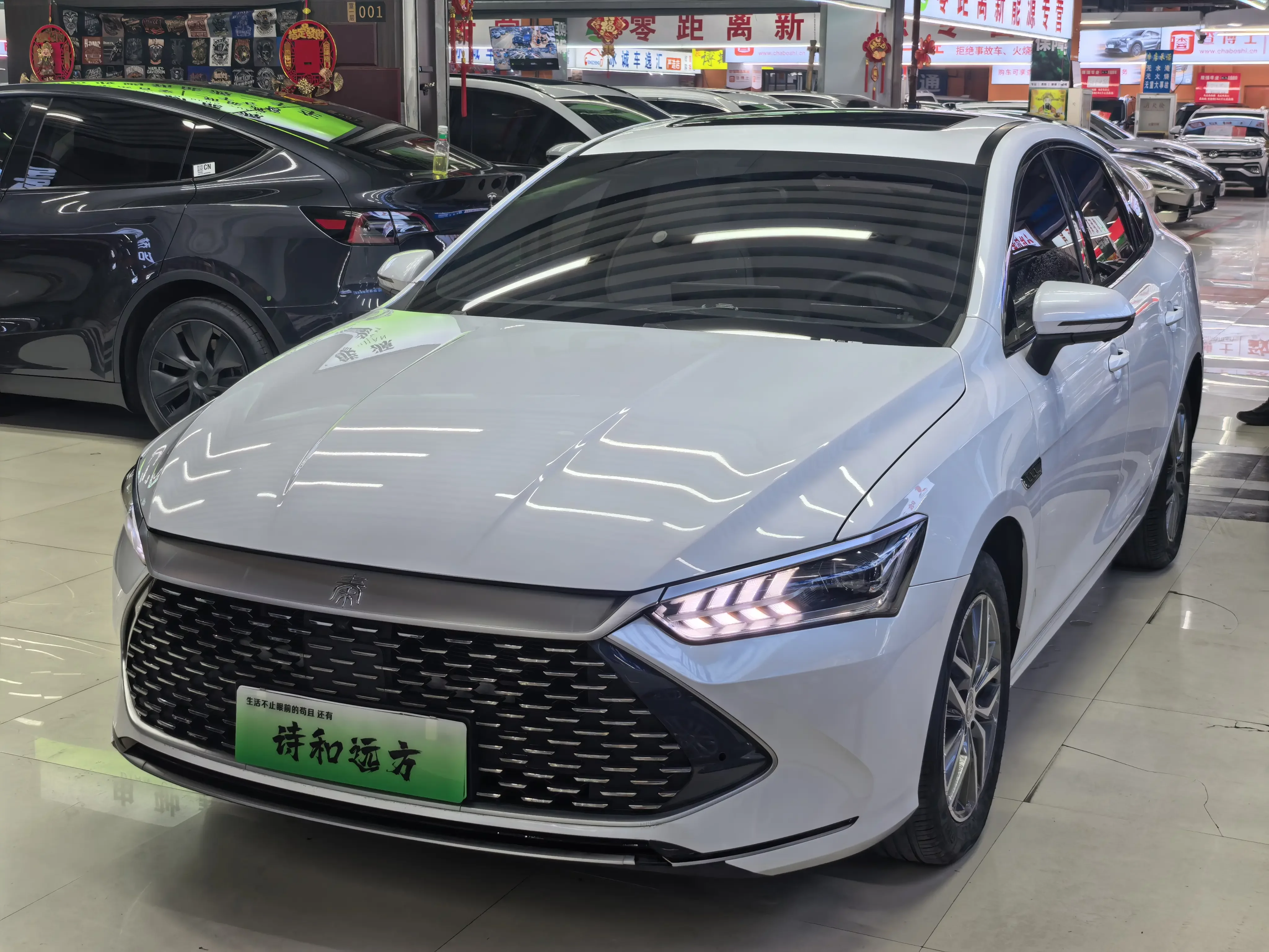 BYD Qin PLUS DM