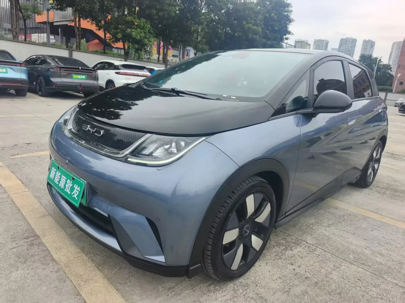 BYD dolphin