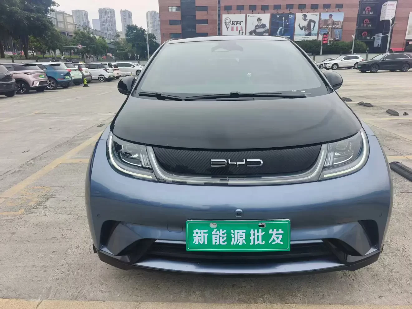 BYD dolphin
