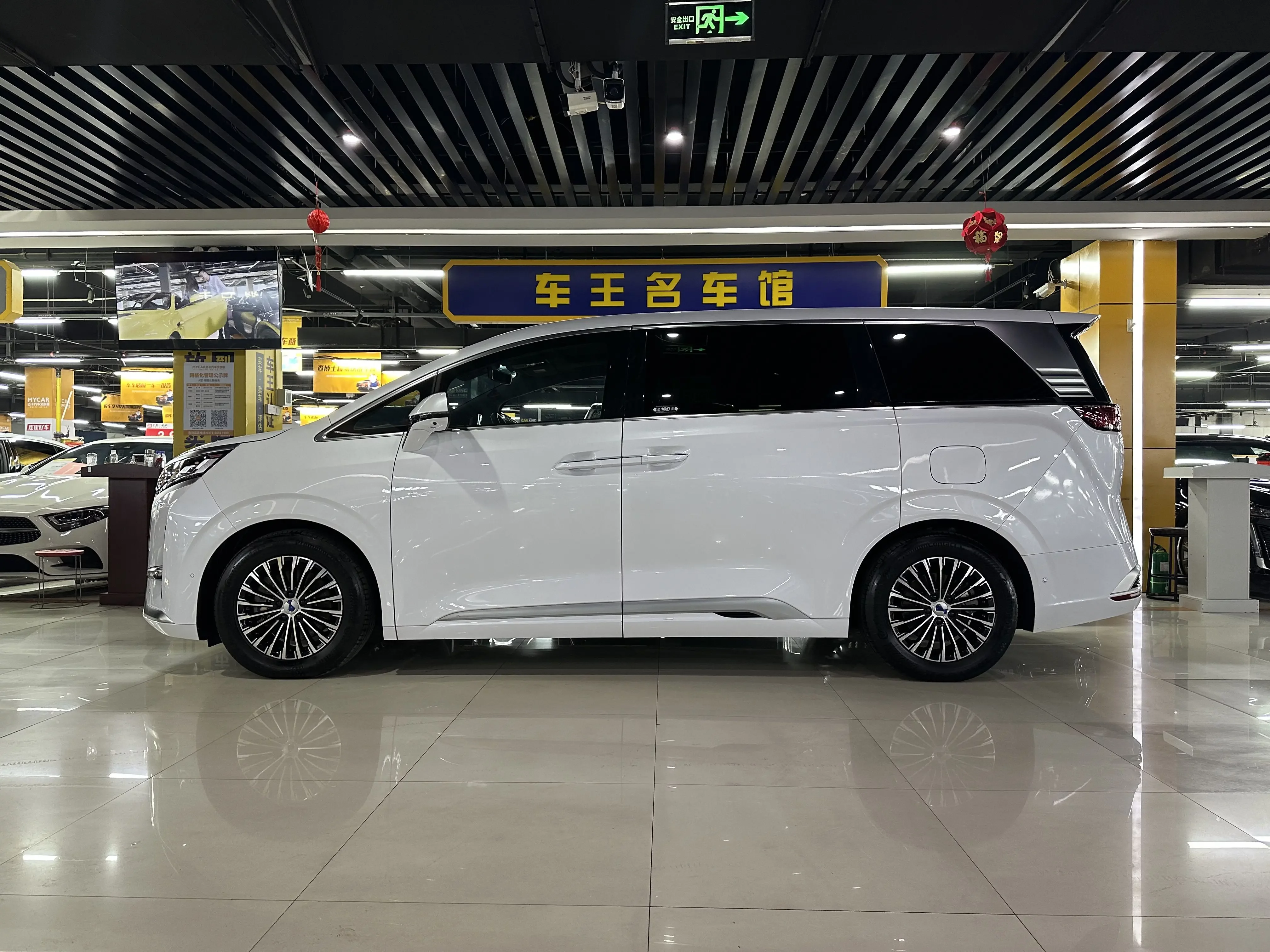 Denza D9 DM