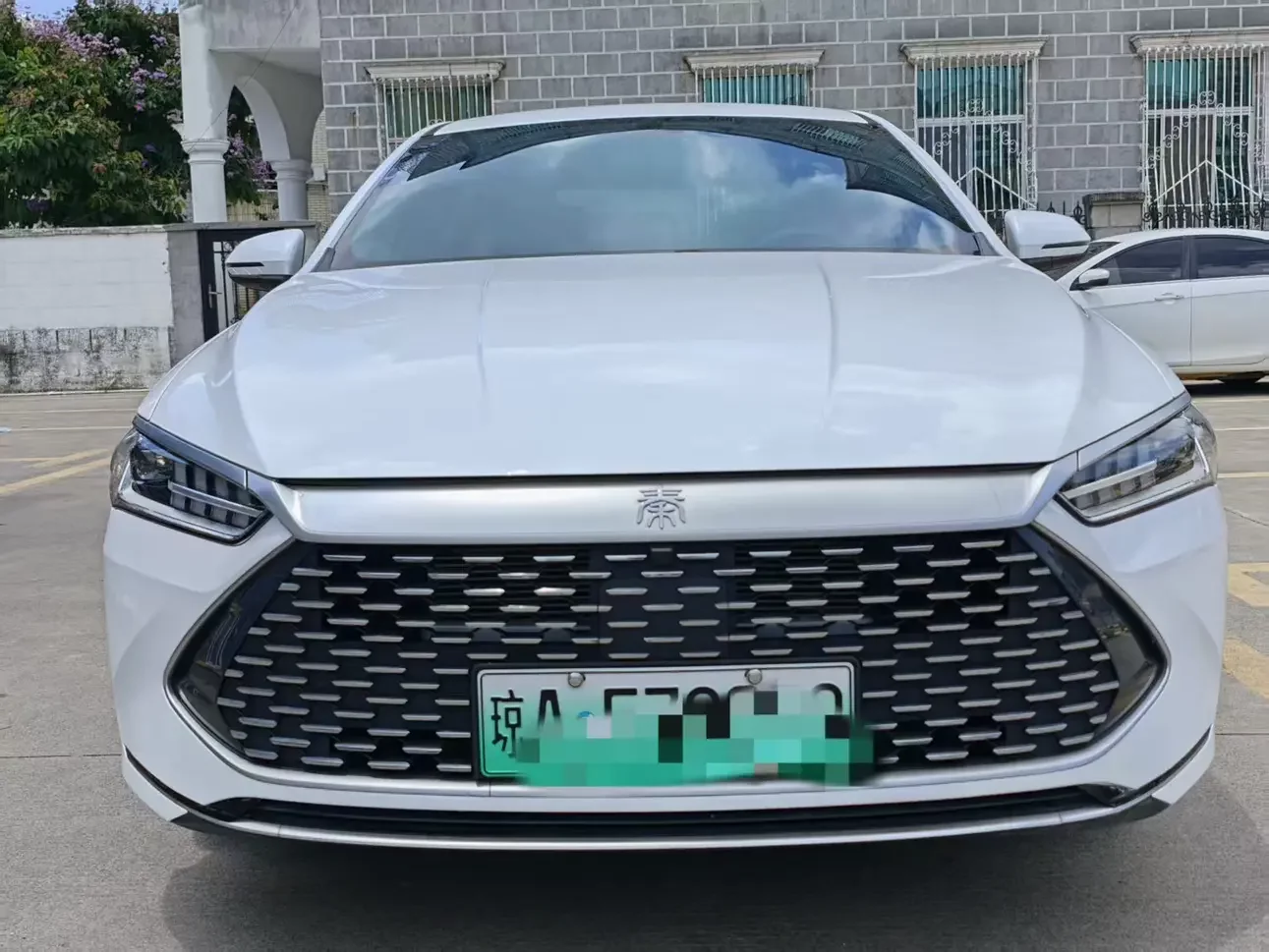 BYD Qin PLUS DM