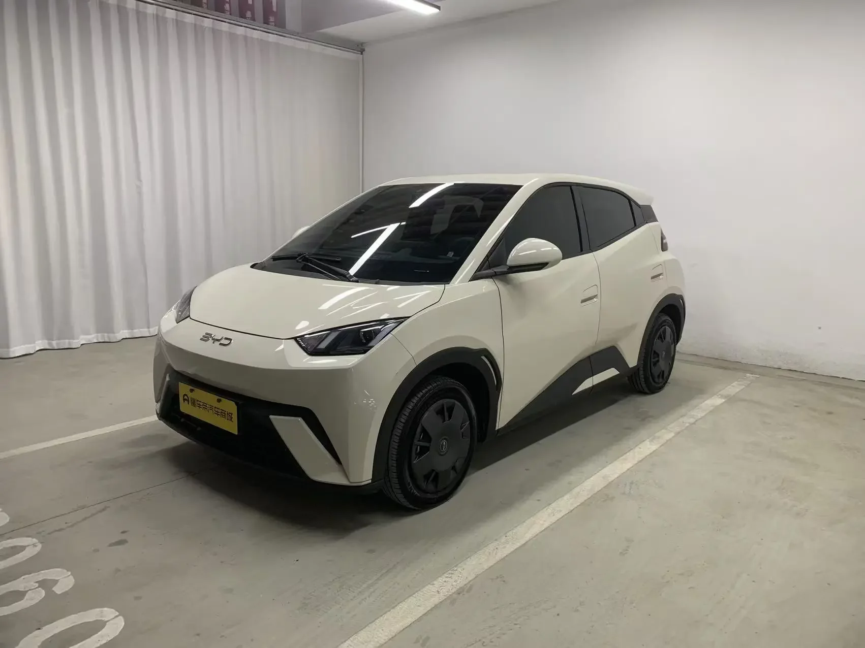 BYD seagull
