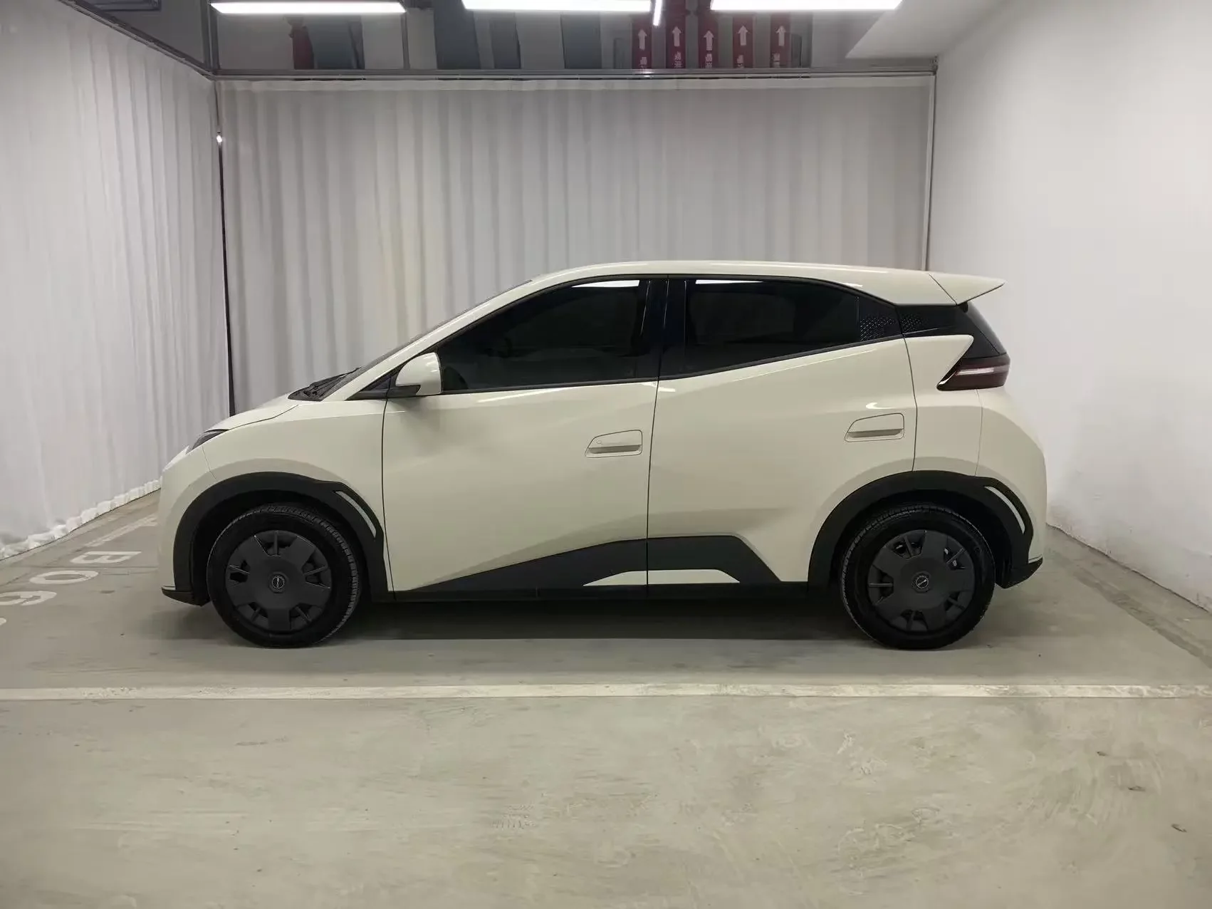 BYD seagull