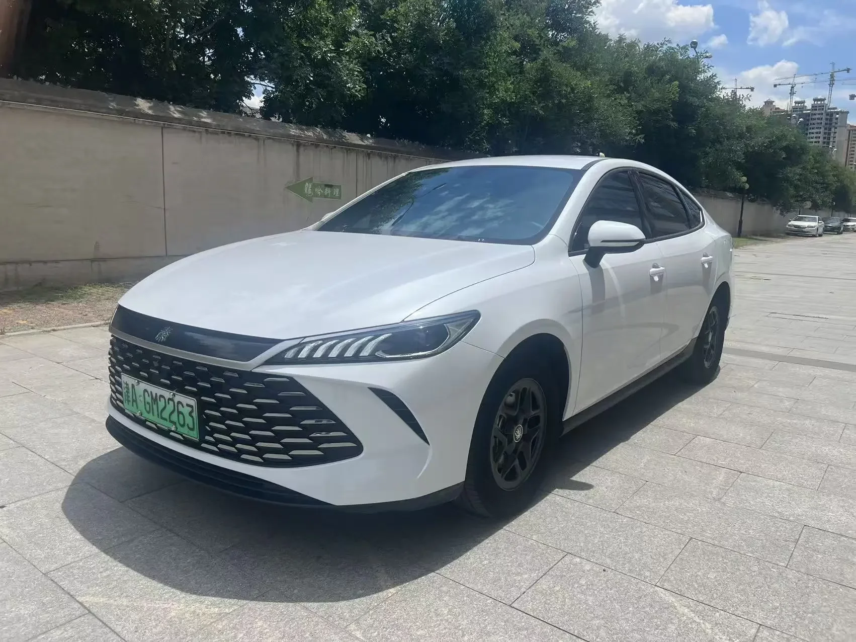 BYD Qin PLUS DM