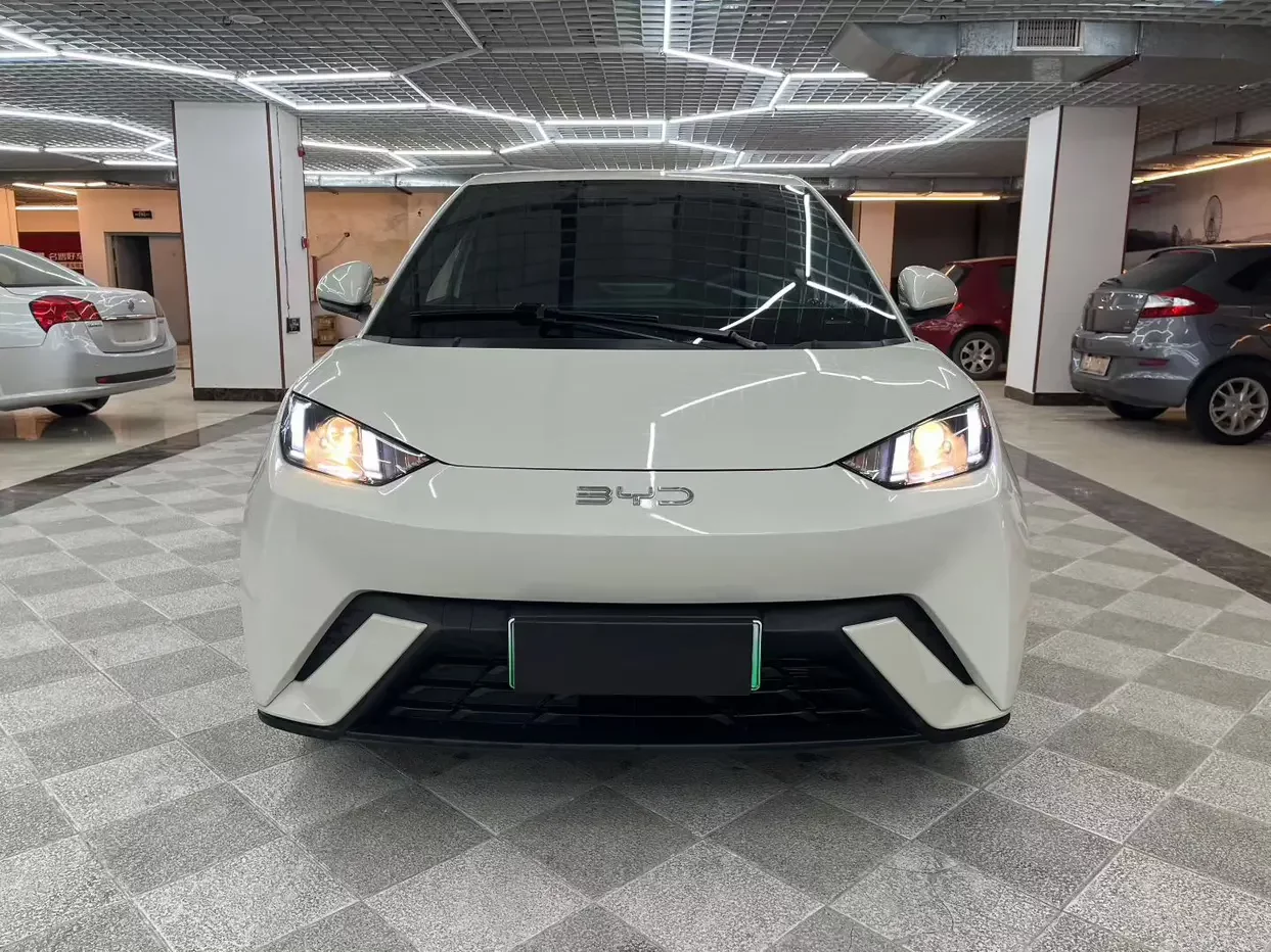 BYD seagull