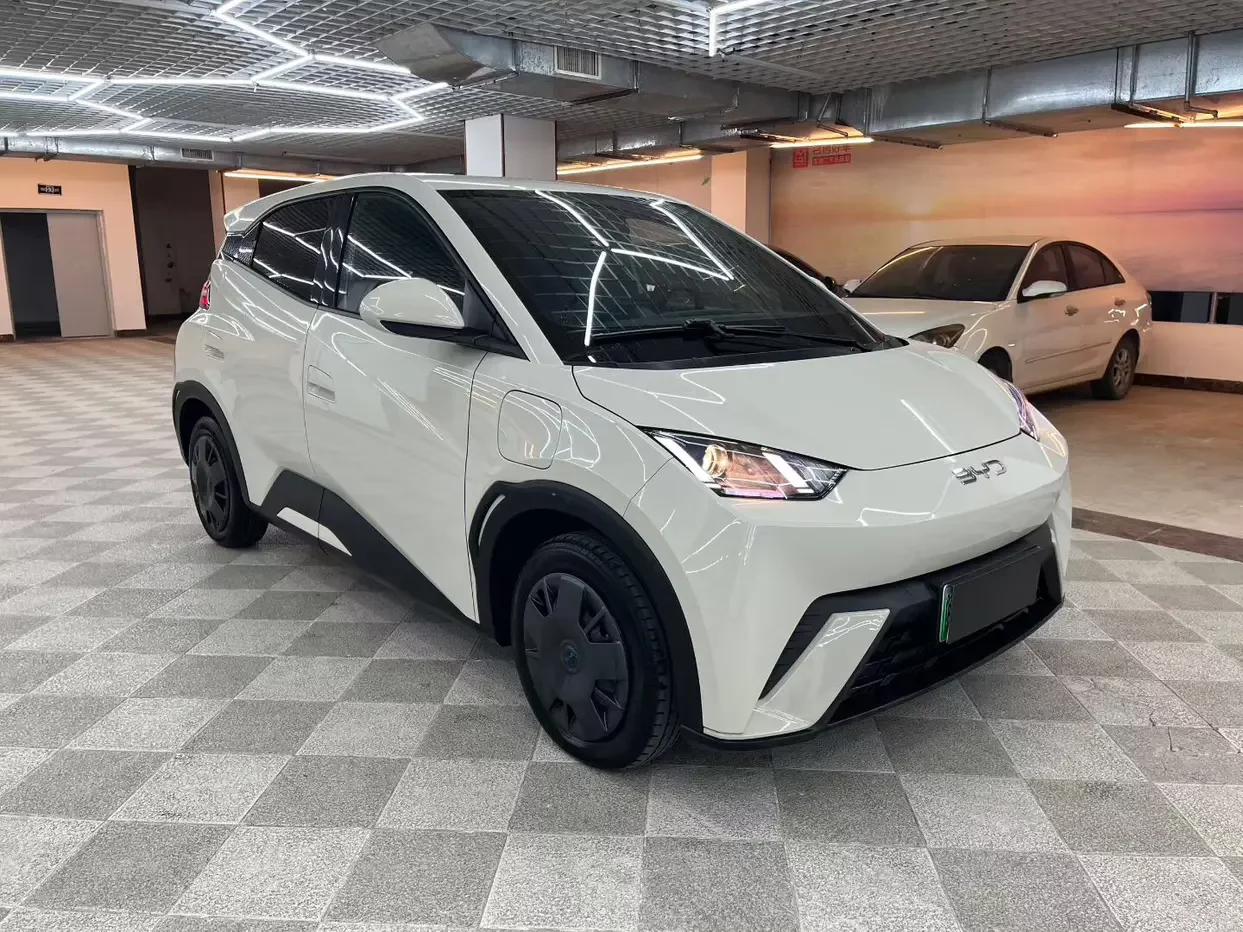 BYD seagull