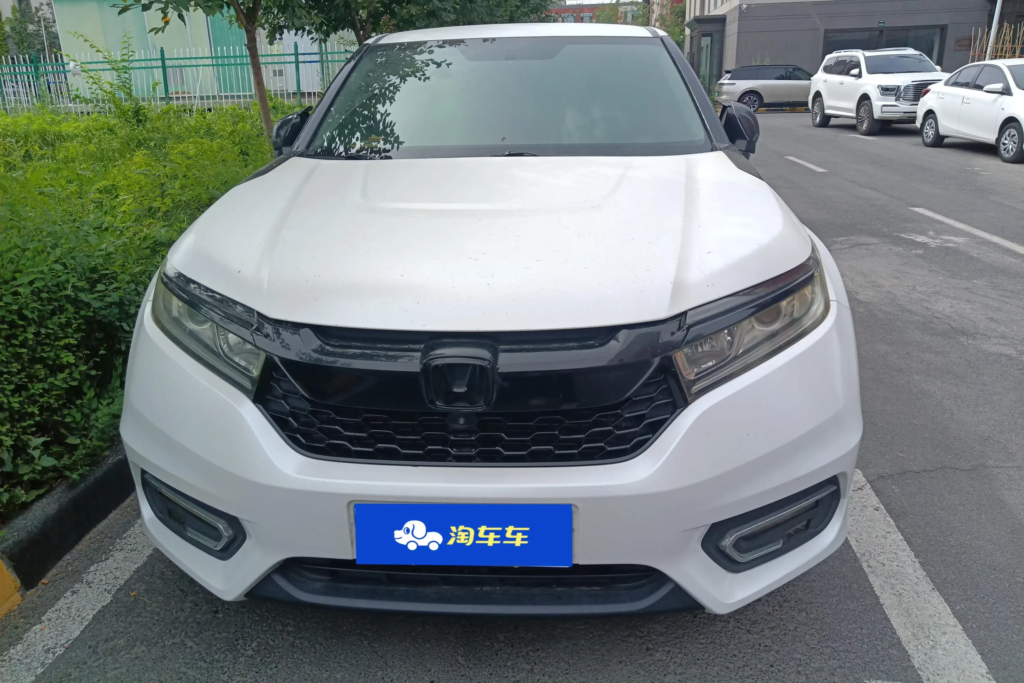Honda Avancier