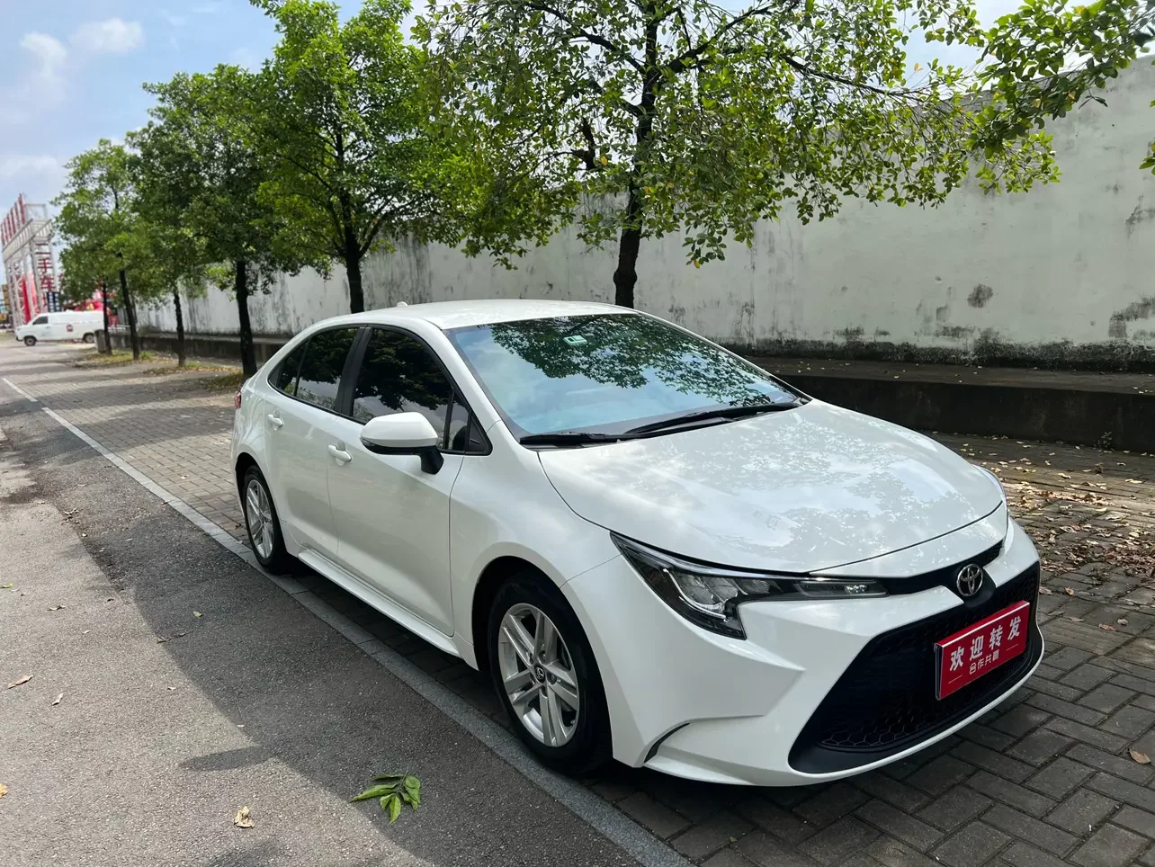 Toyota Levin