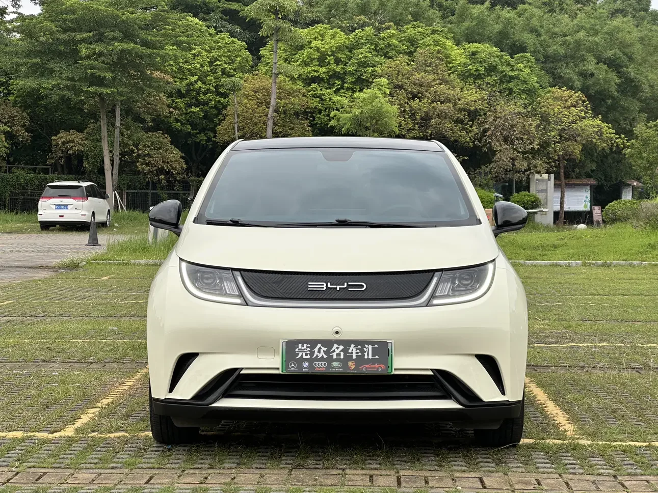 BYD dolphin