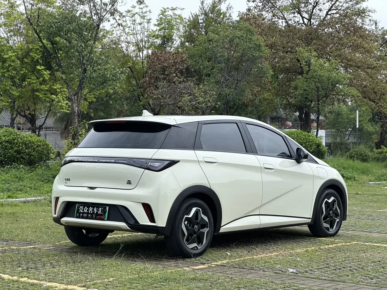 BYD dolphin