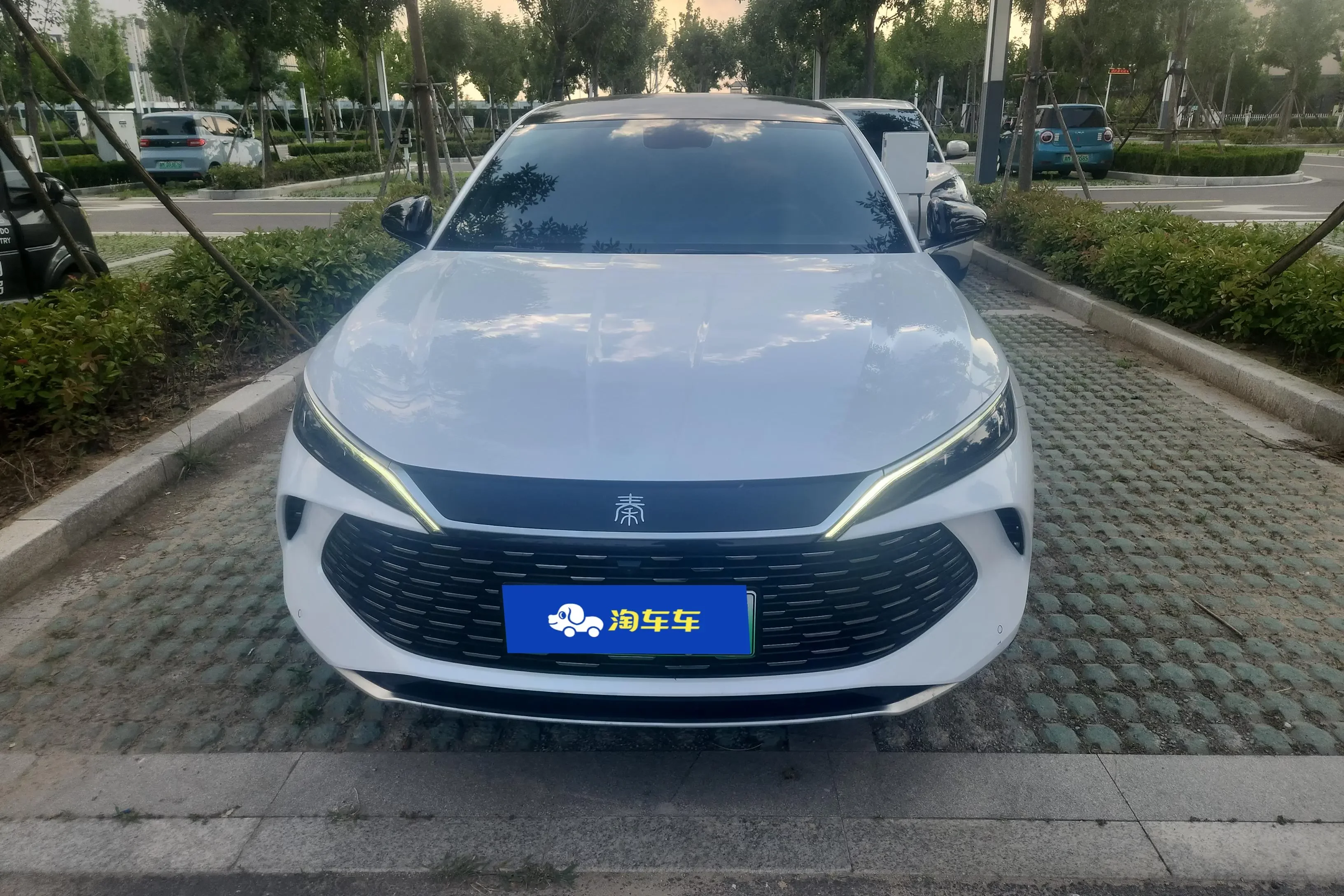 BYD Qin L DM