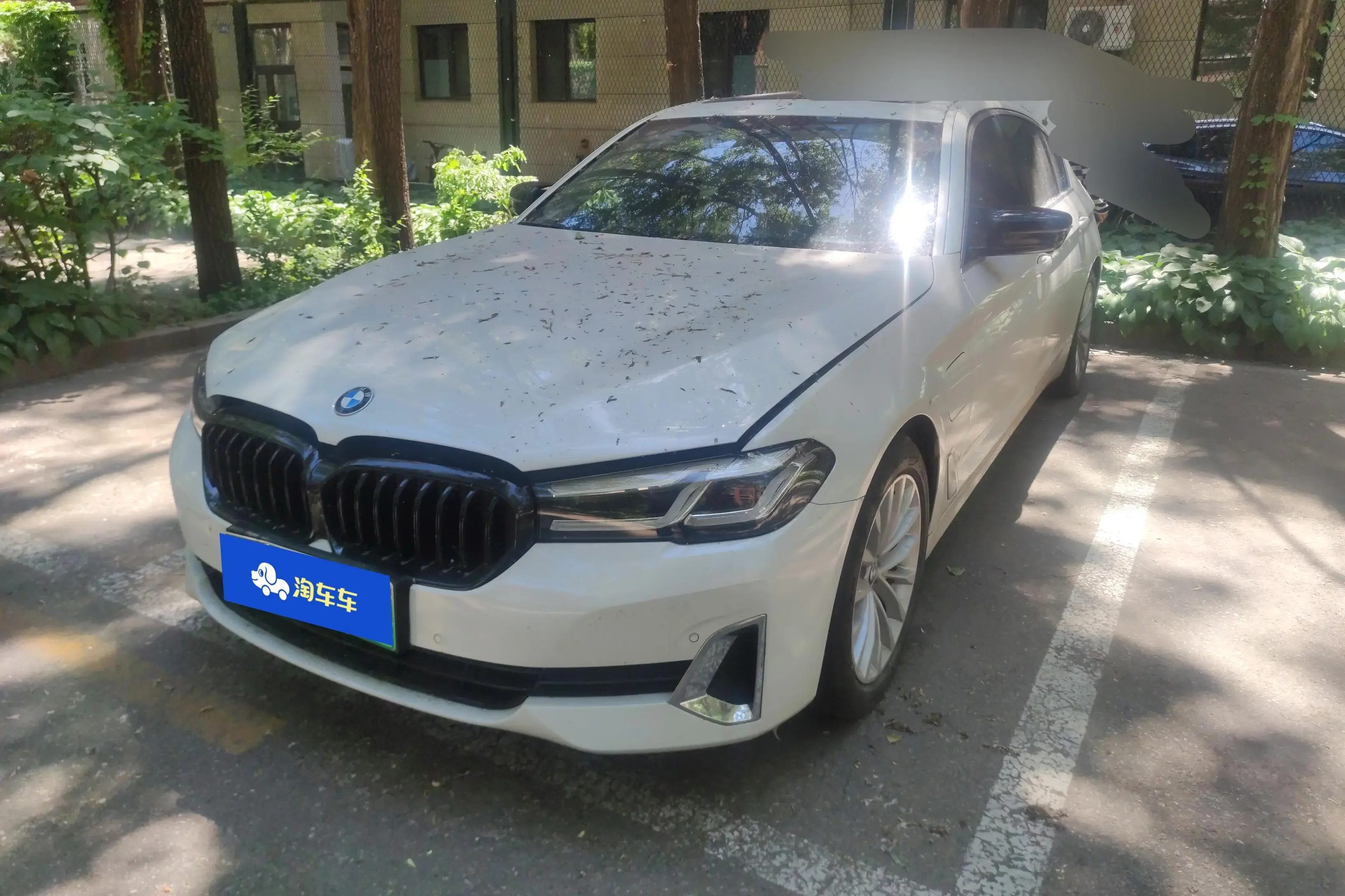 BMW 5 Series PHEV