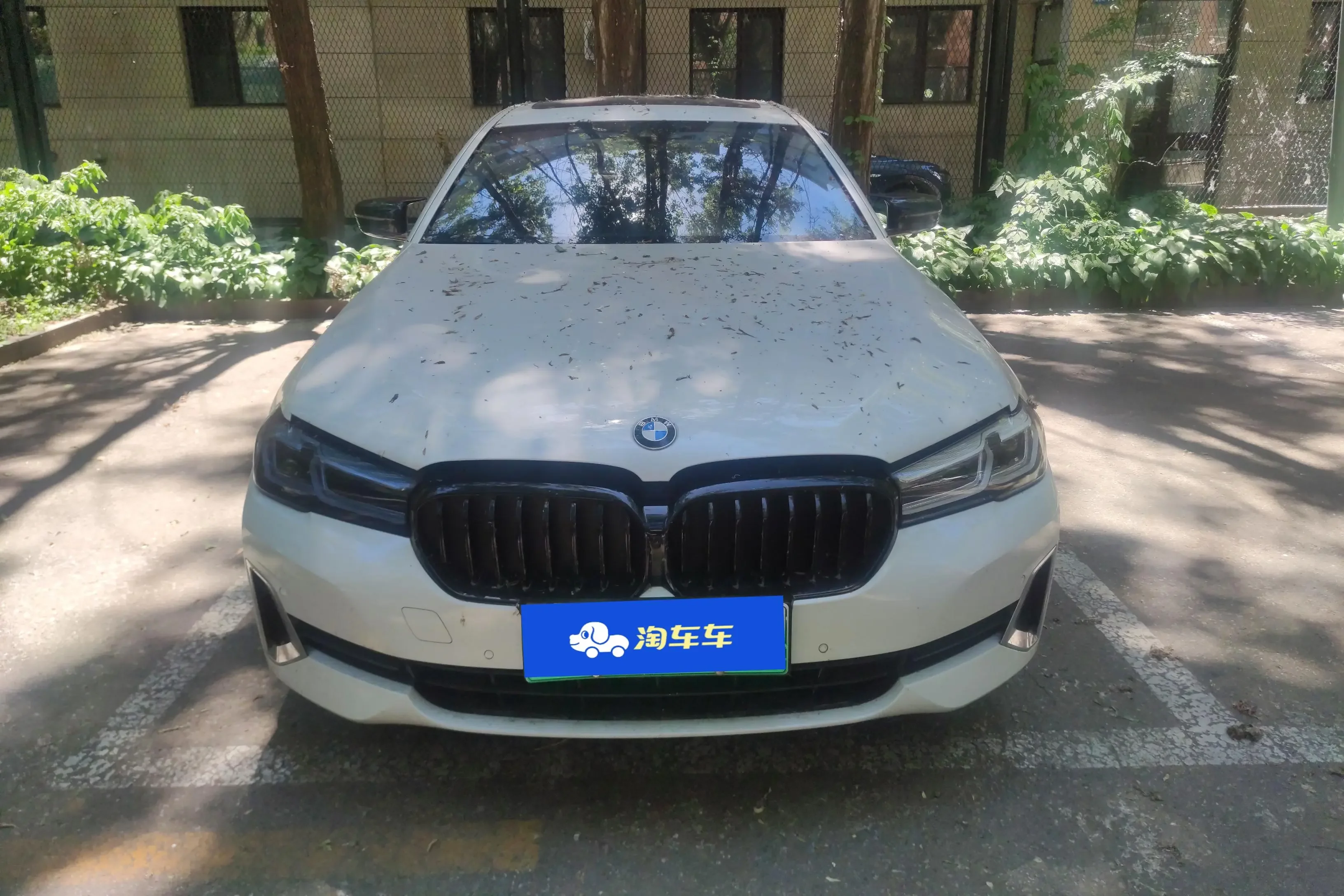BMW 5 Series PHEV