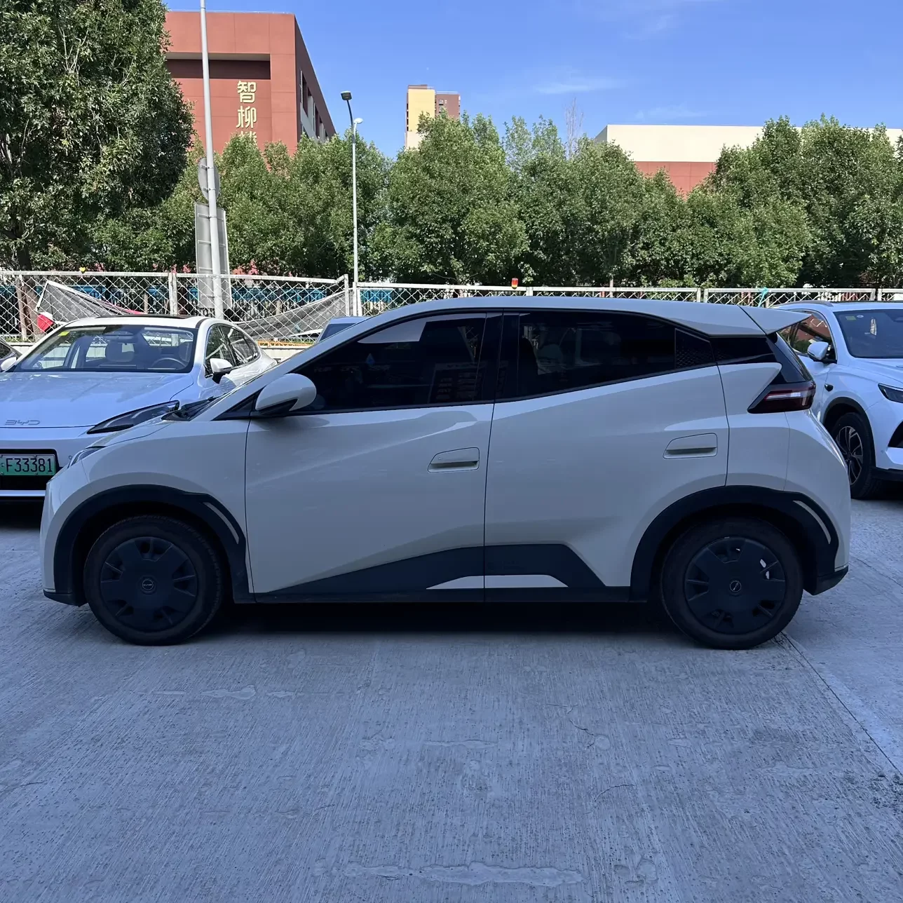 BYD seagull