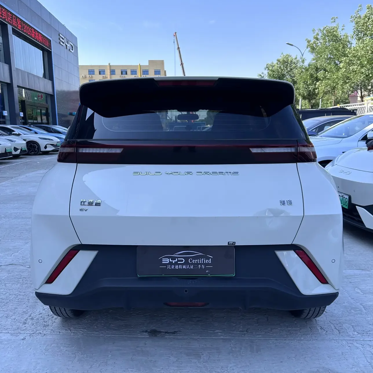 BYD seagull