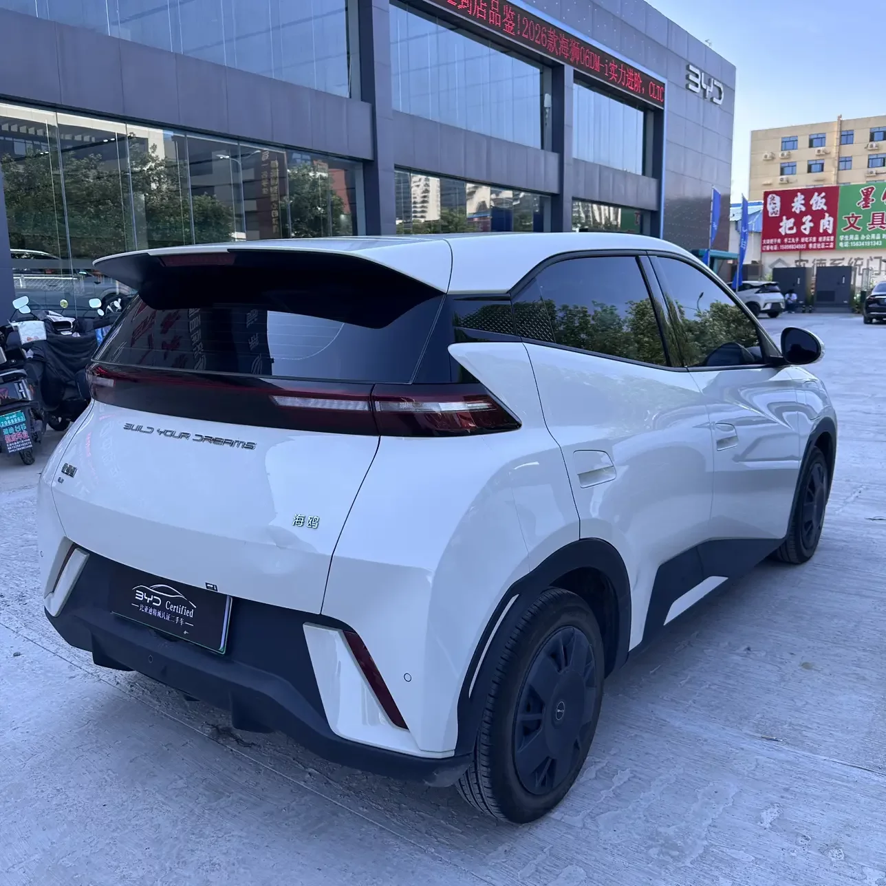 BYD seagull
