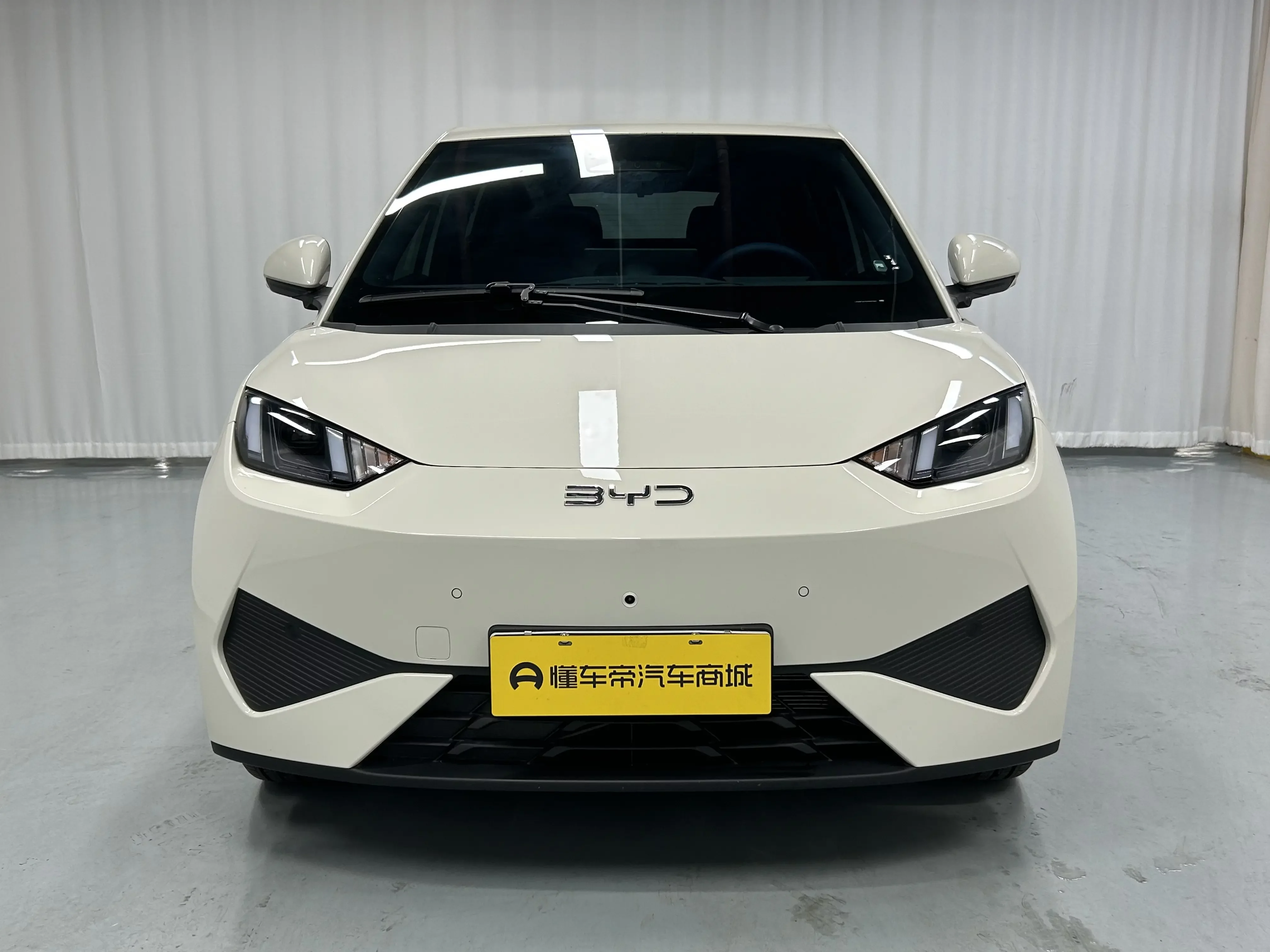 BYD seagull
