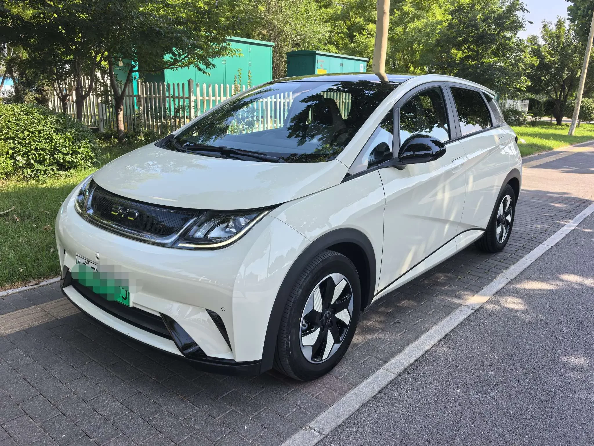 BYD dolphin