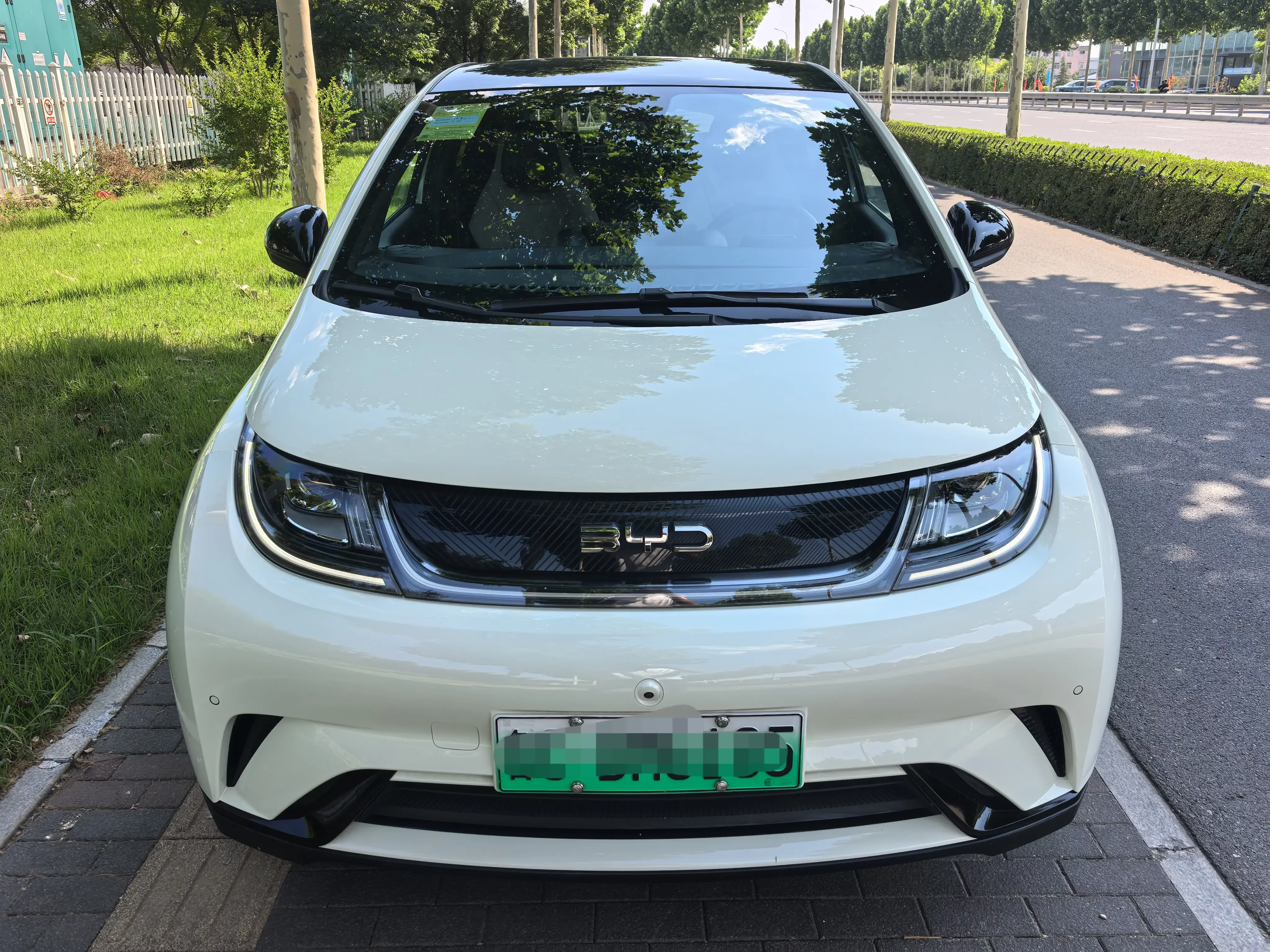 BYD dolphin