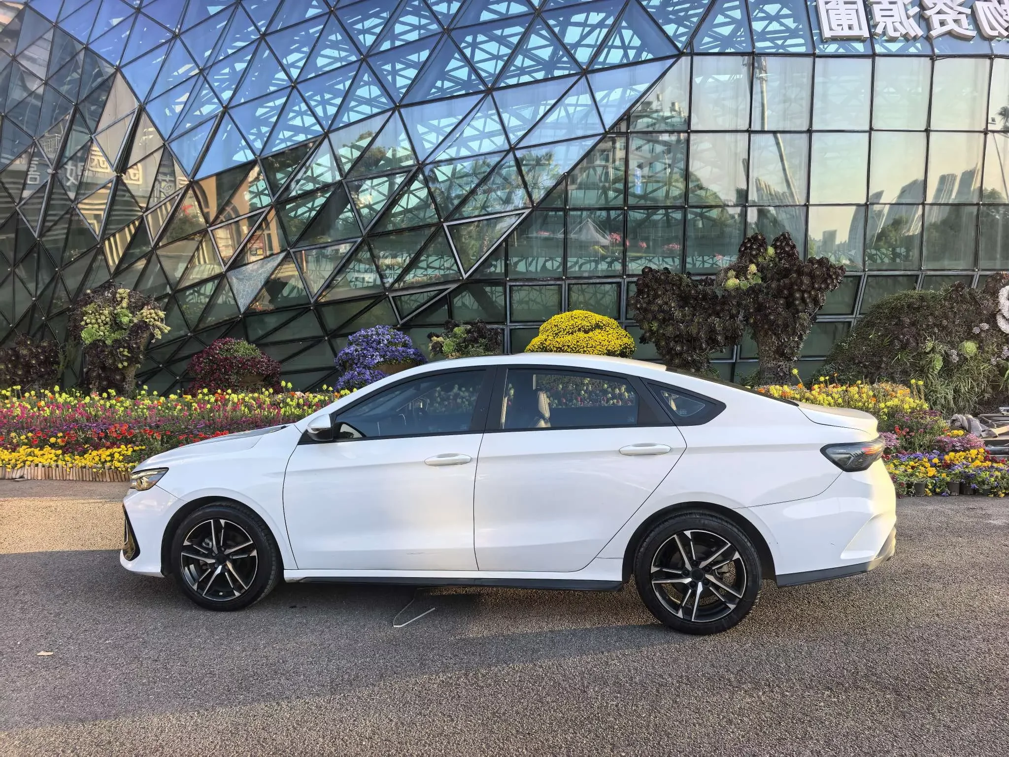 Geely Binrui