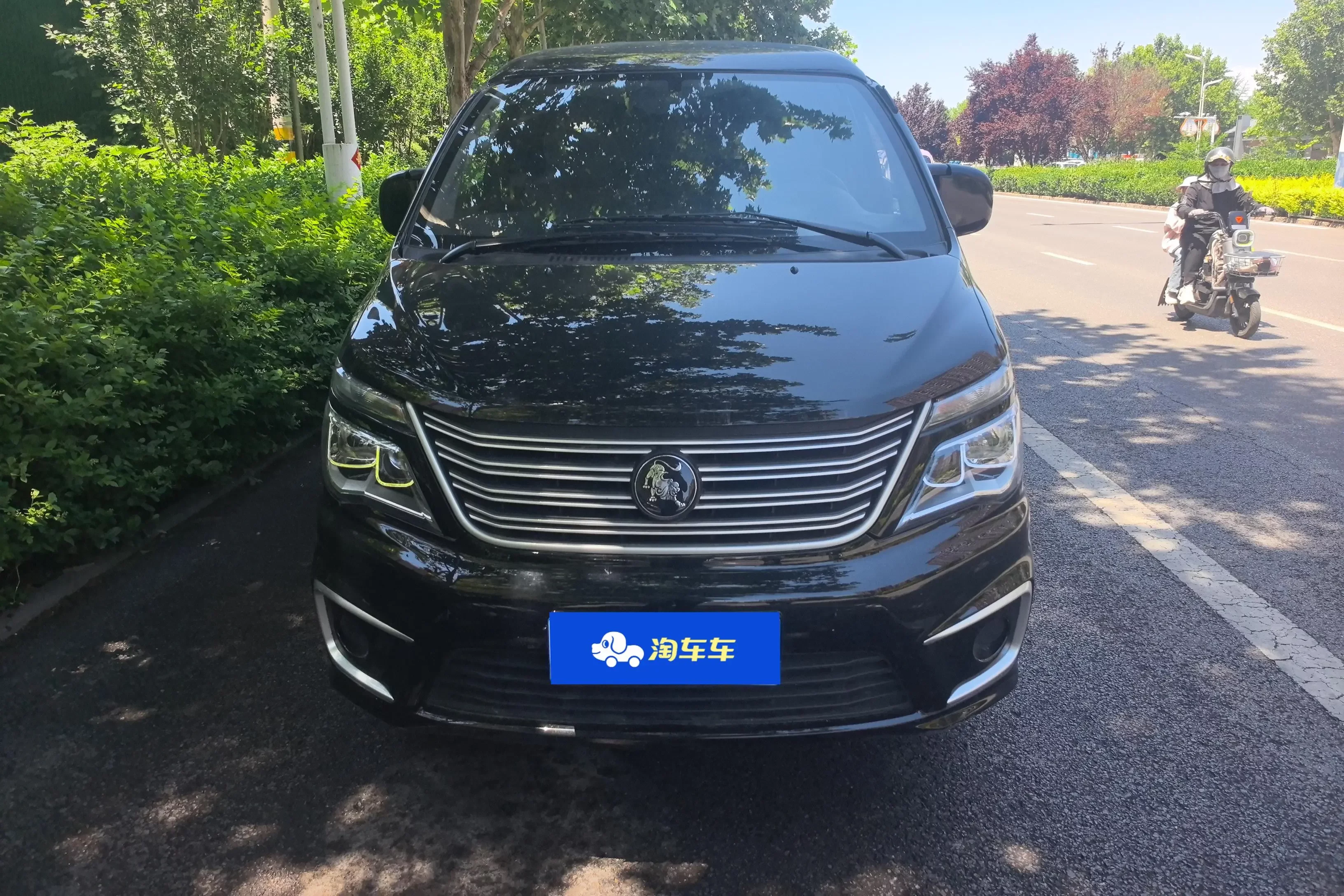 Forthing Lingzhi