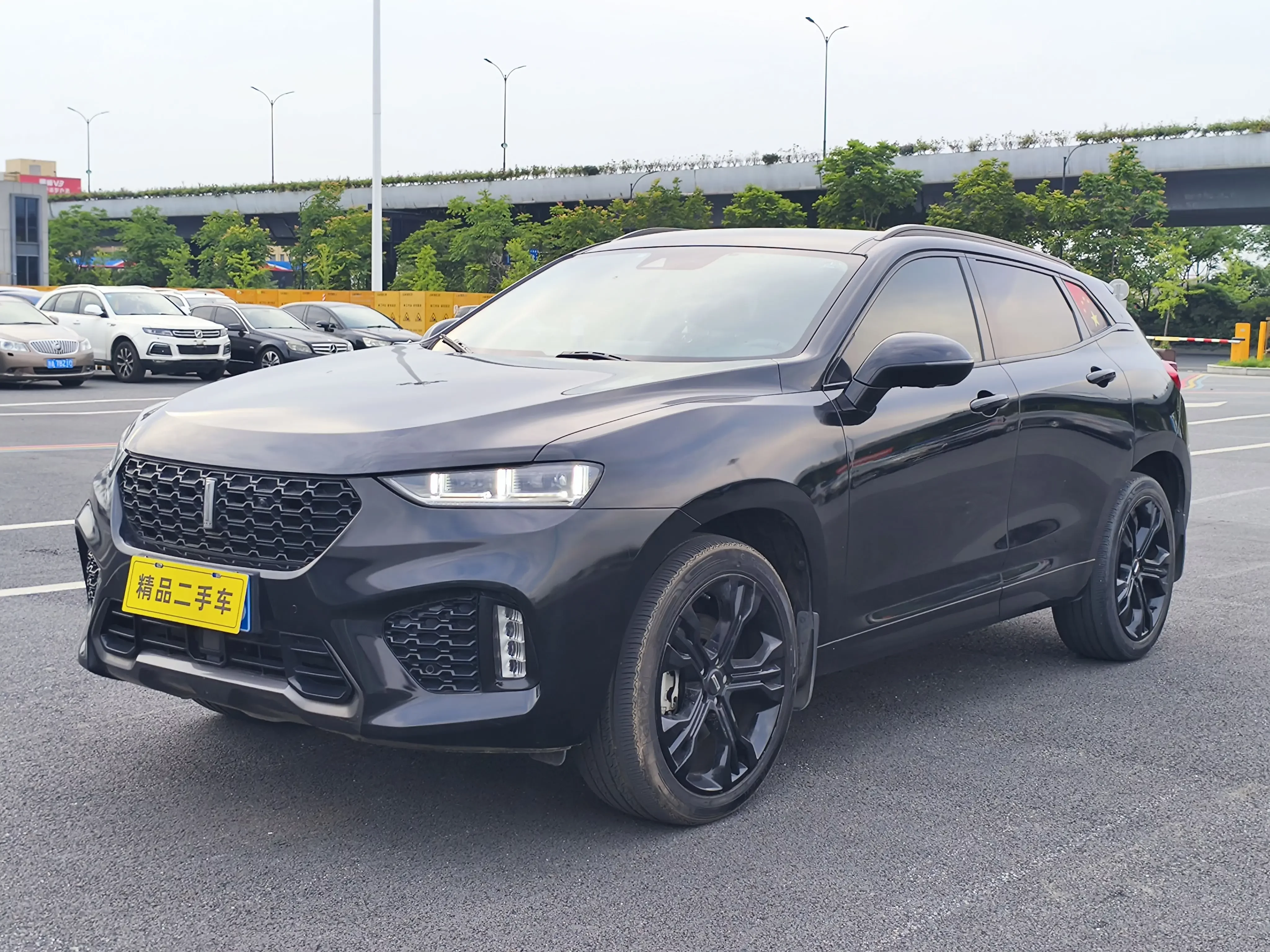 Wey Wei brand VV7