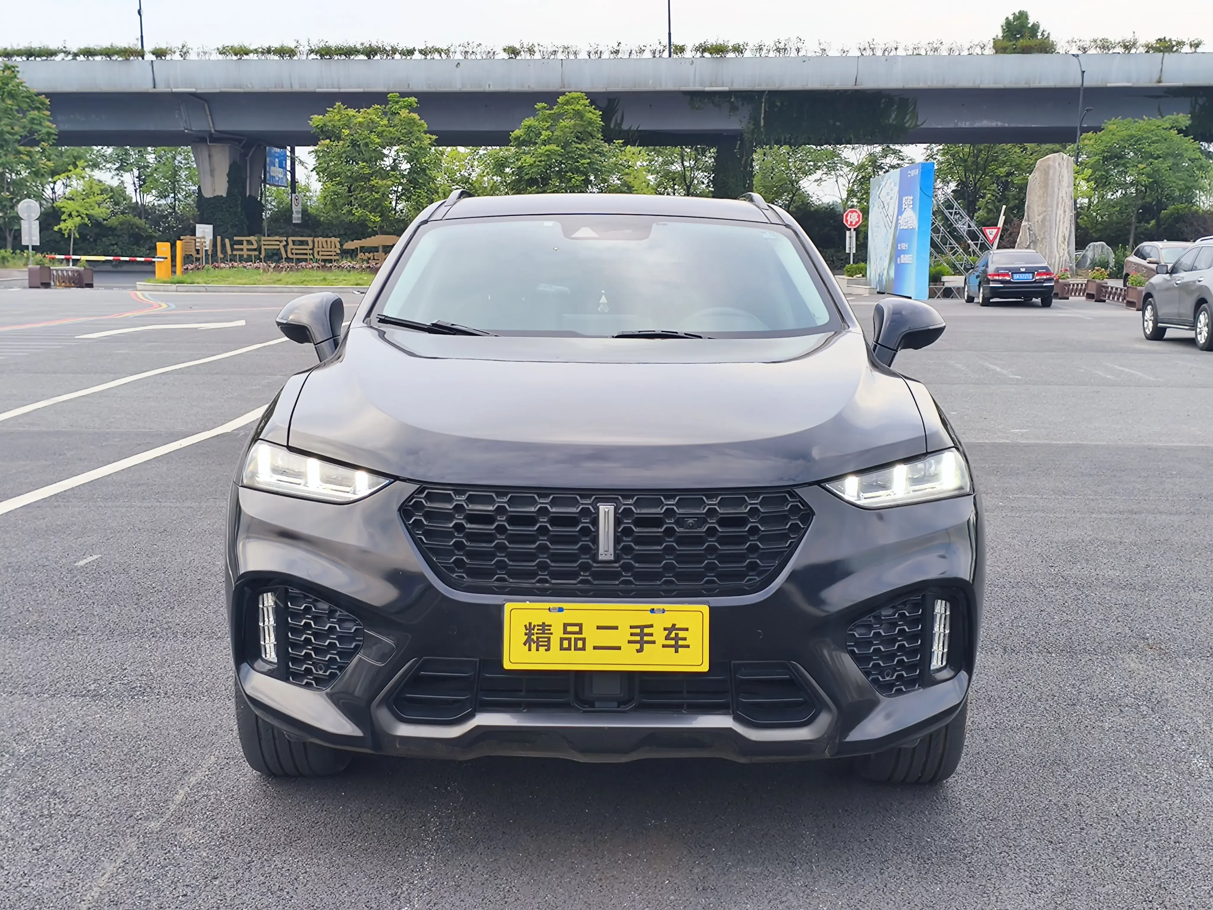 Wey Wei brand VV7