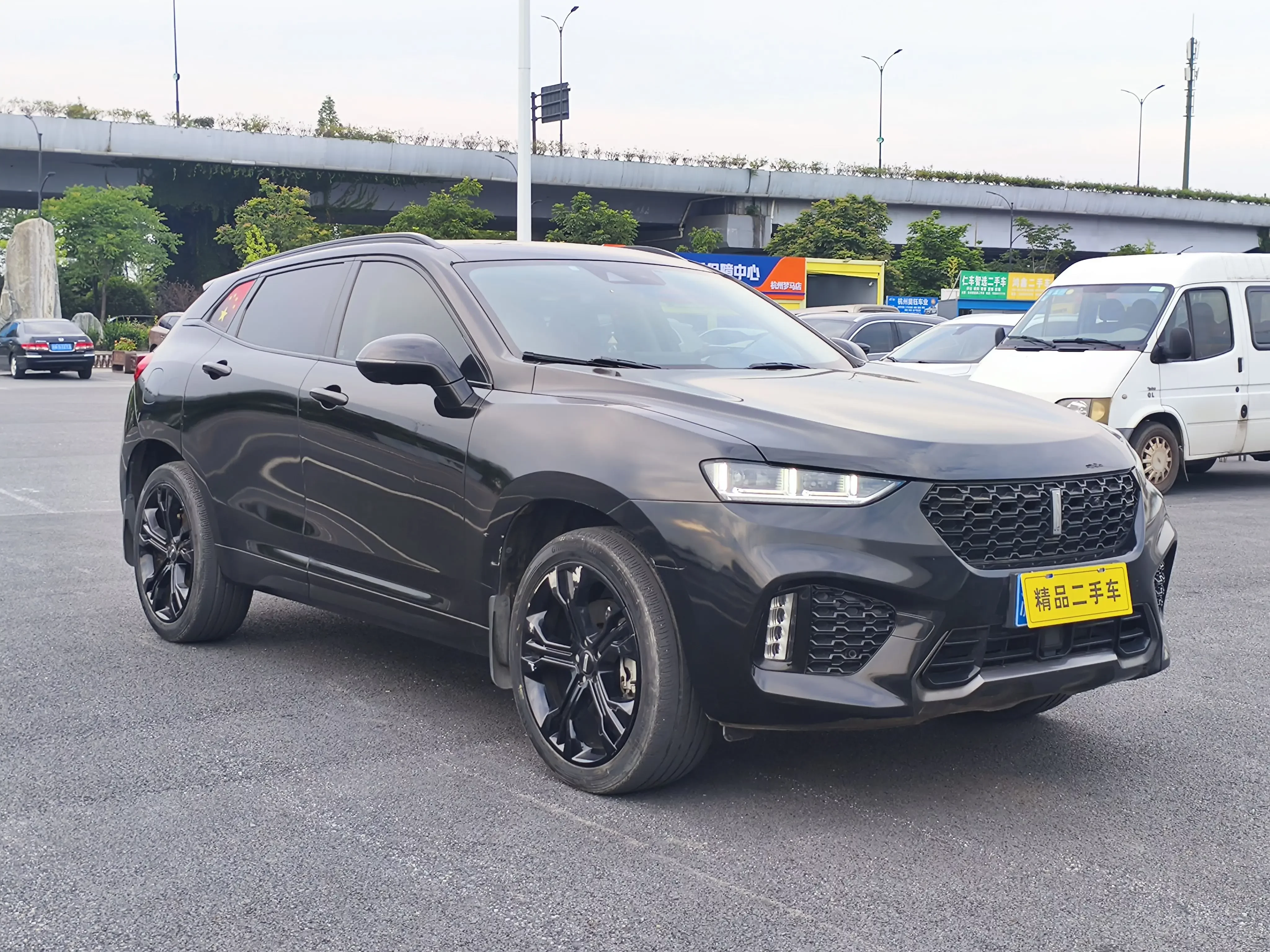 Wey Wei brand VV7