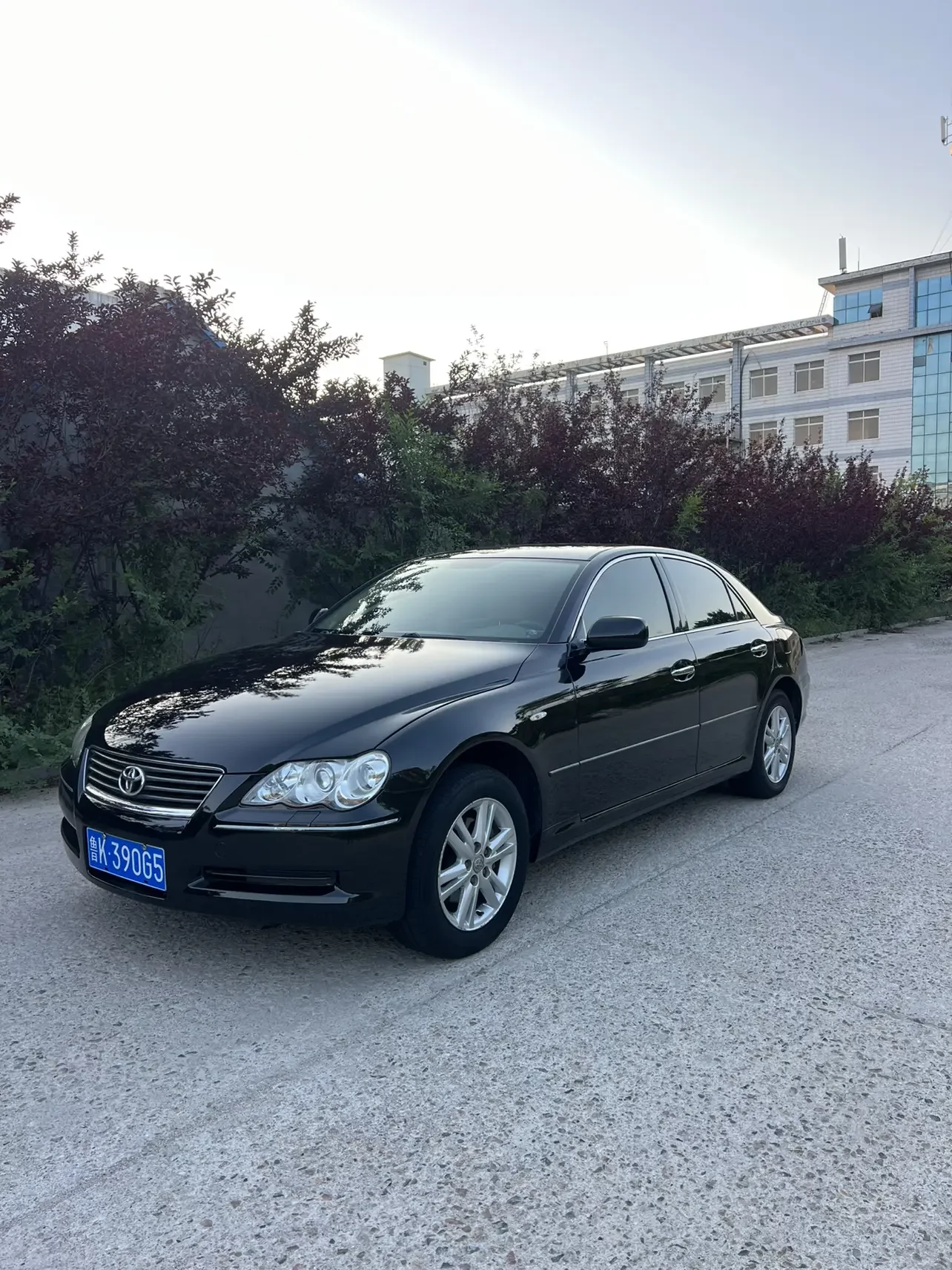 Toyota Ruizhi