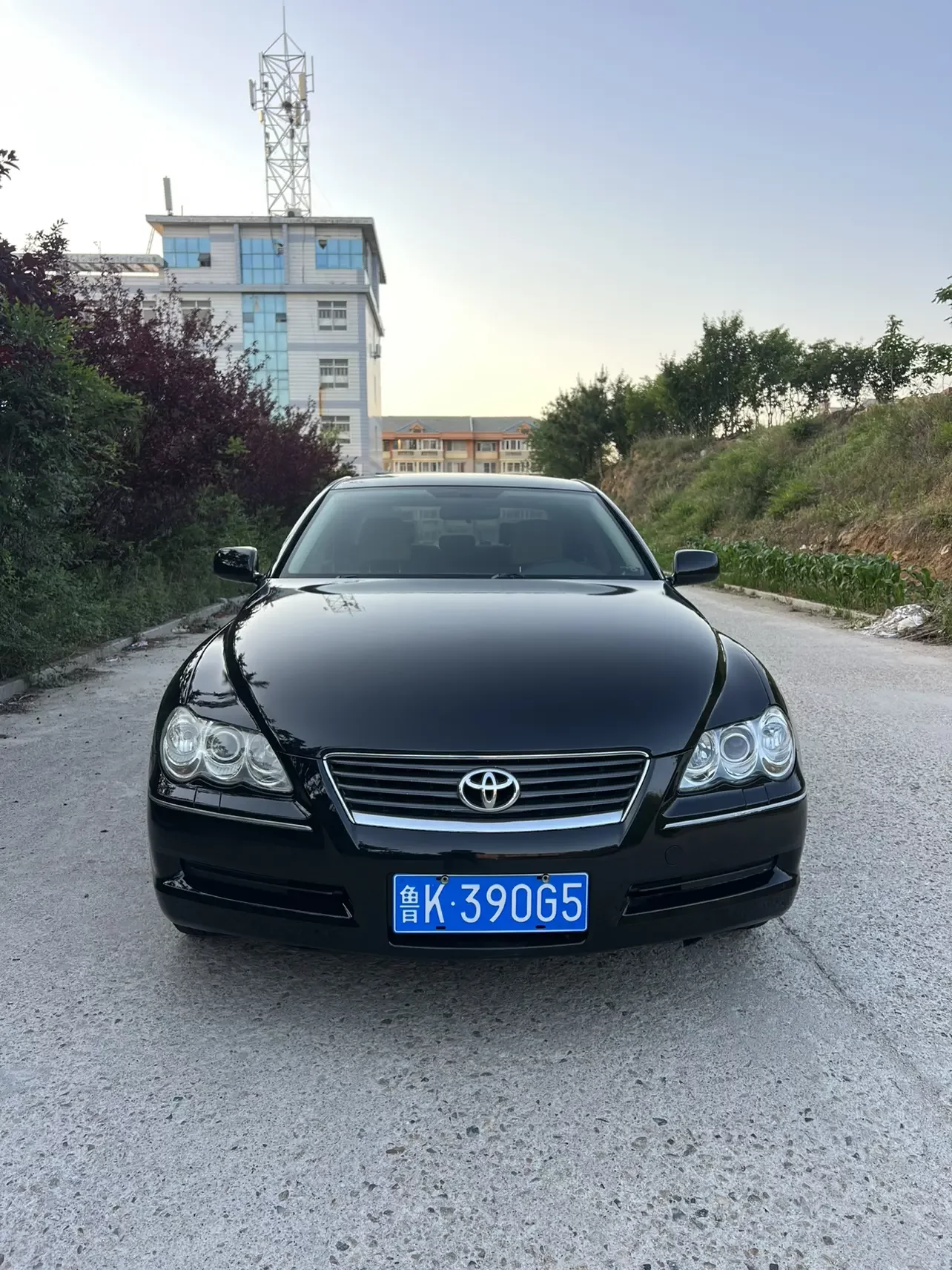 Toyota Ruizhi