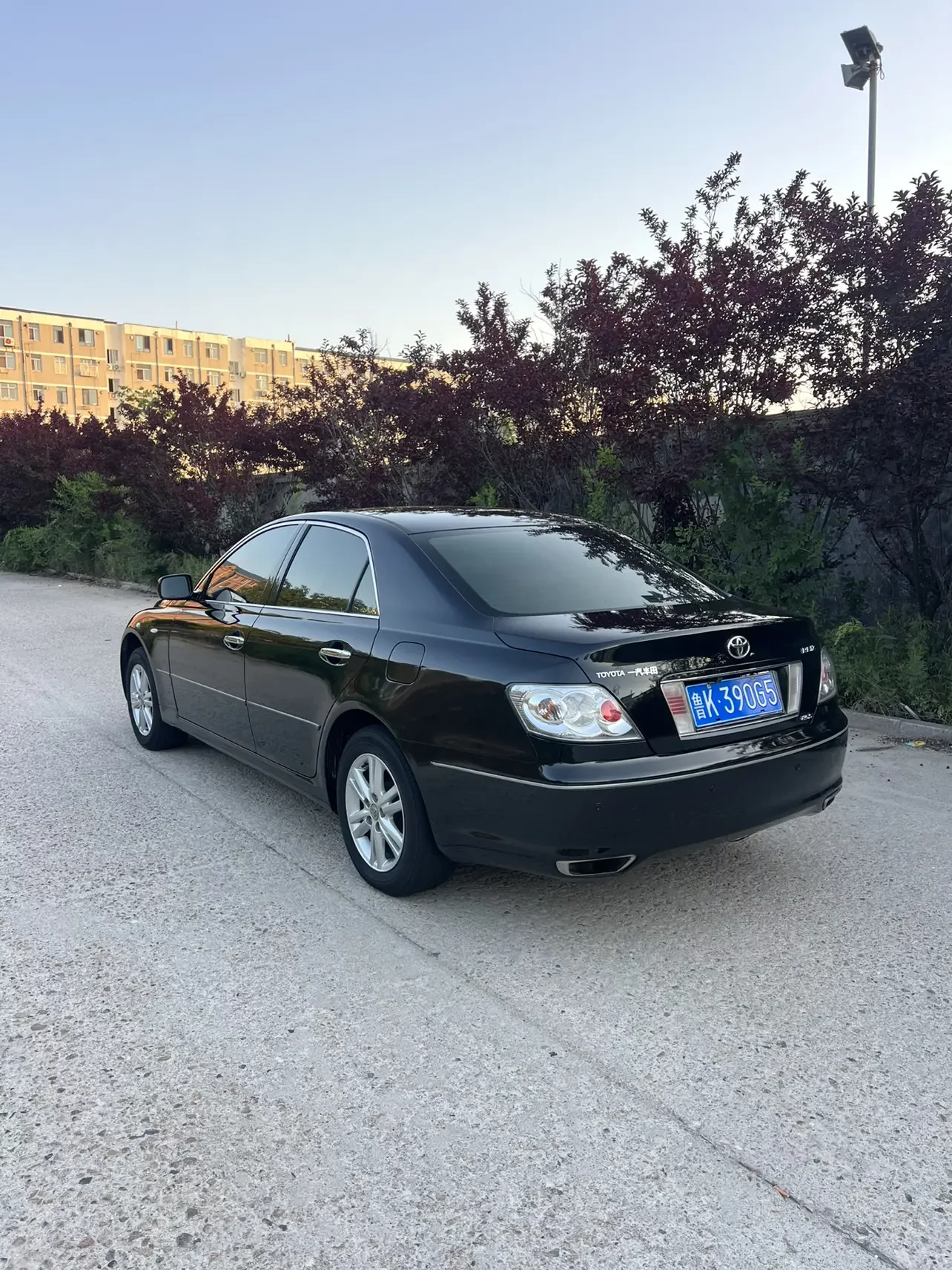 Toyota Ruizhi