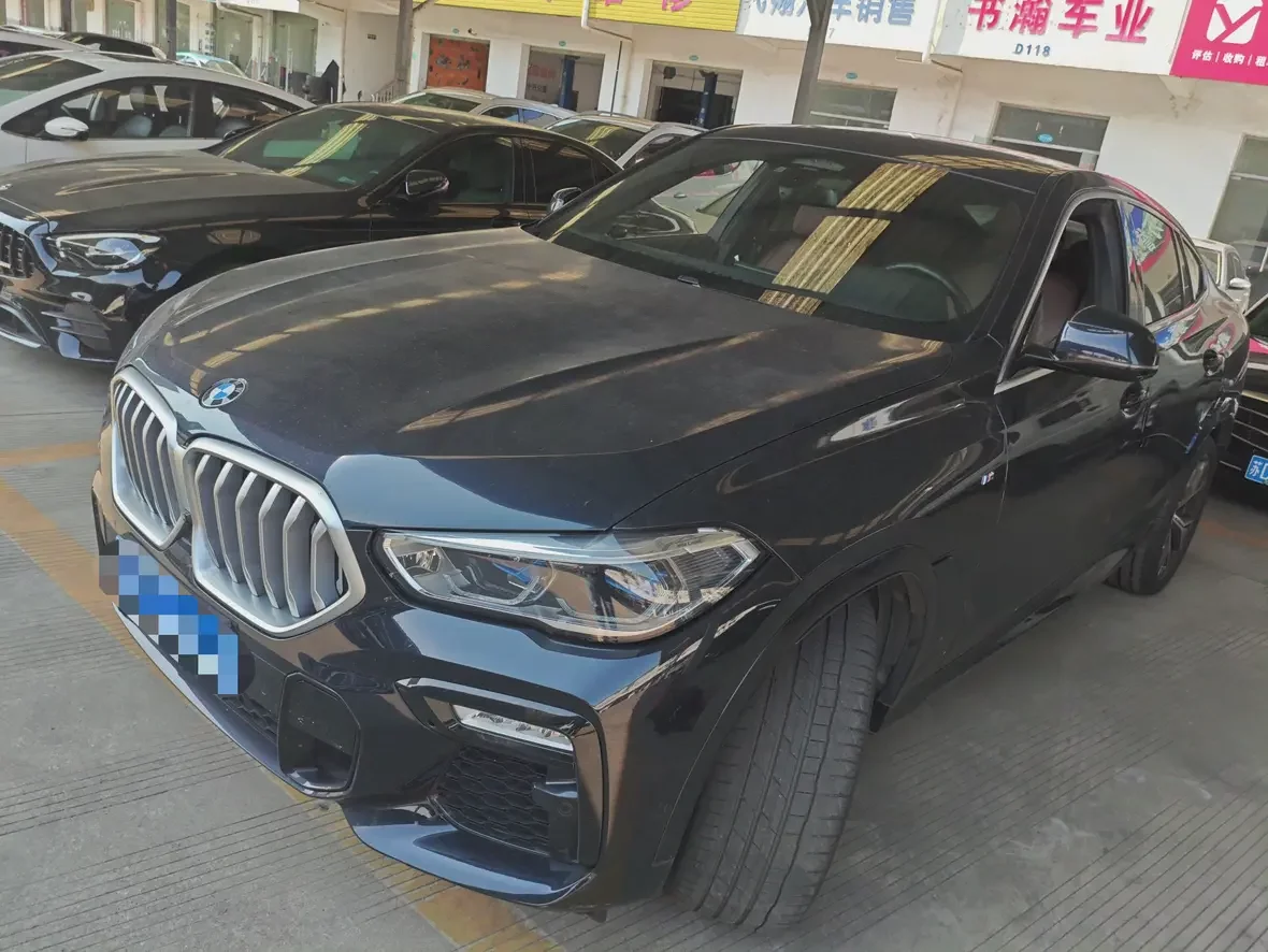 BMW X6
