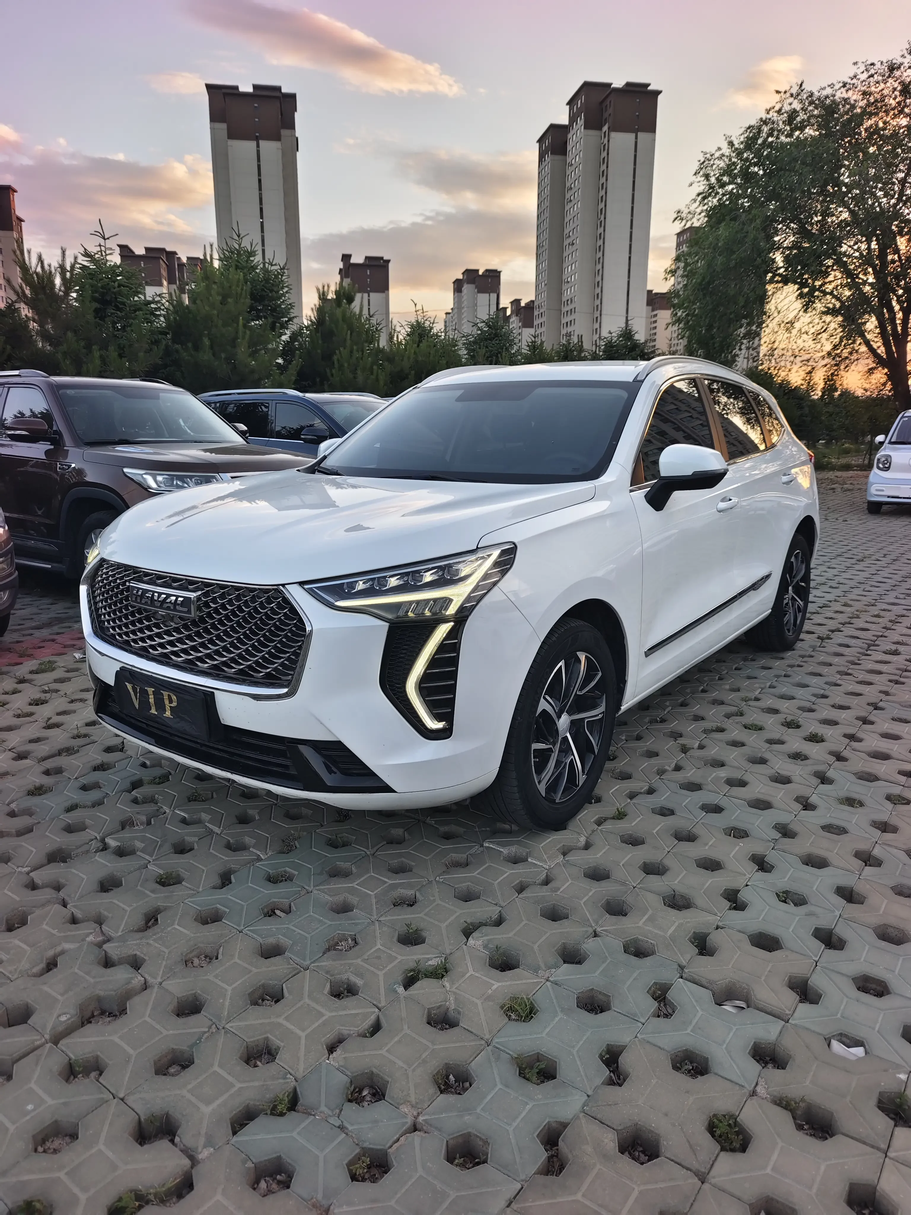 Haval Jolion