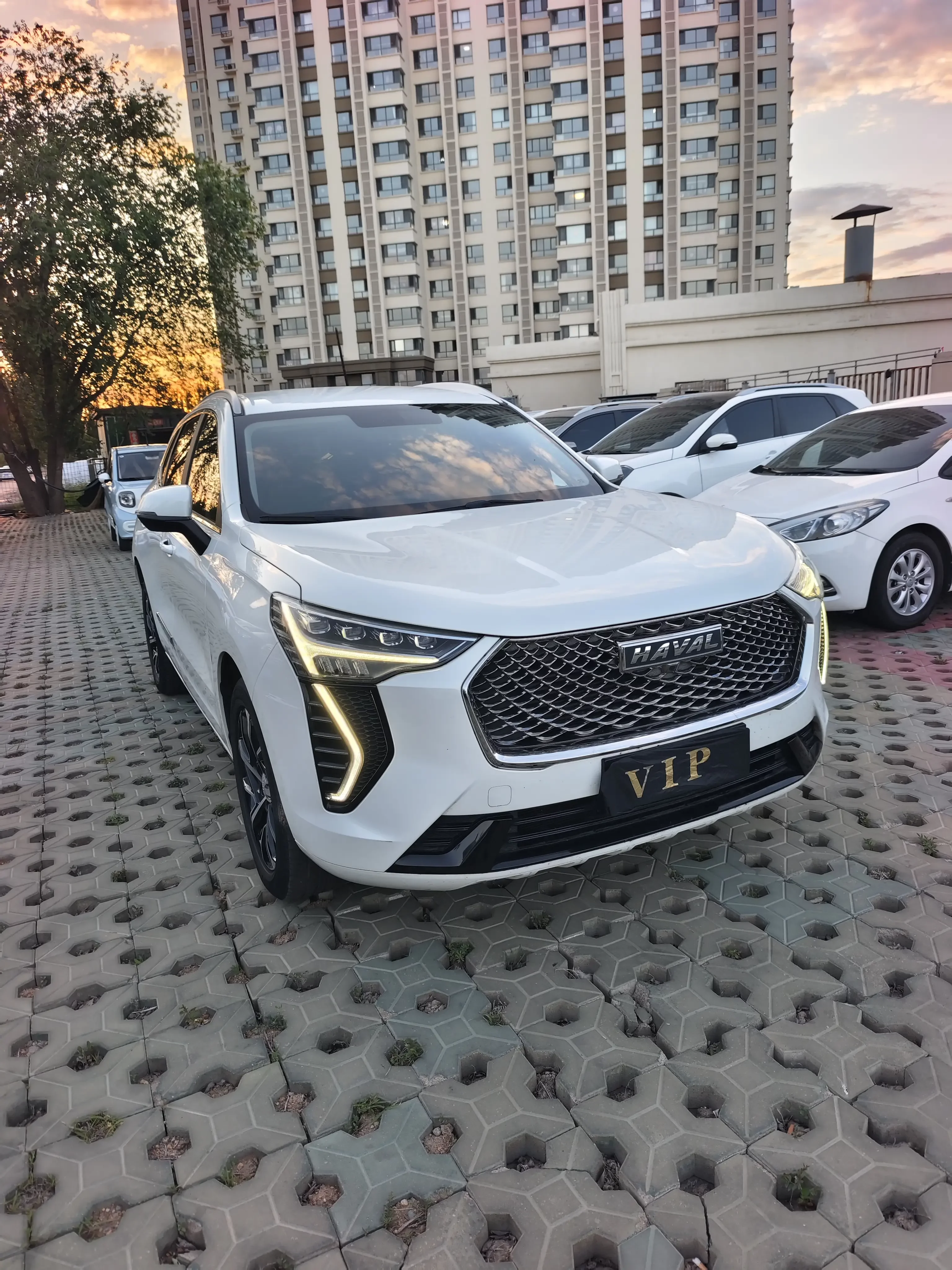 Haval Jolion