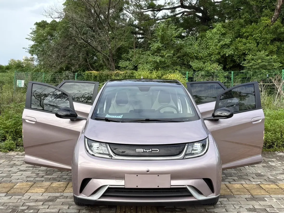 BYD dolphin