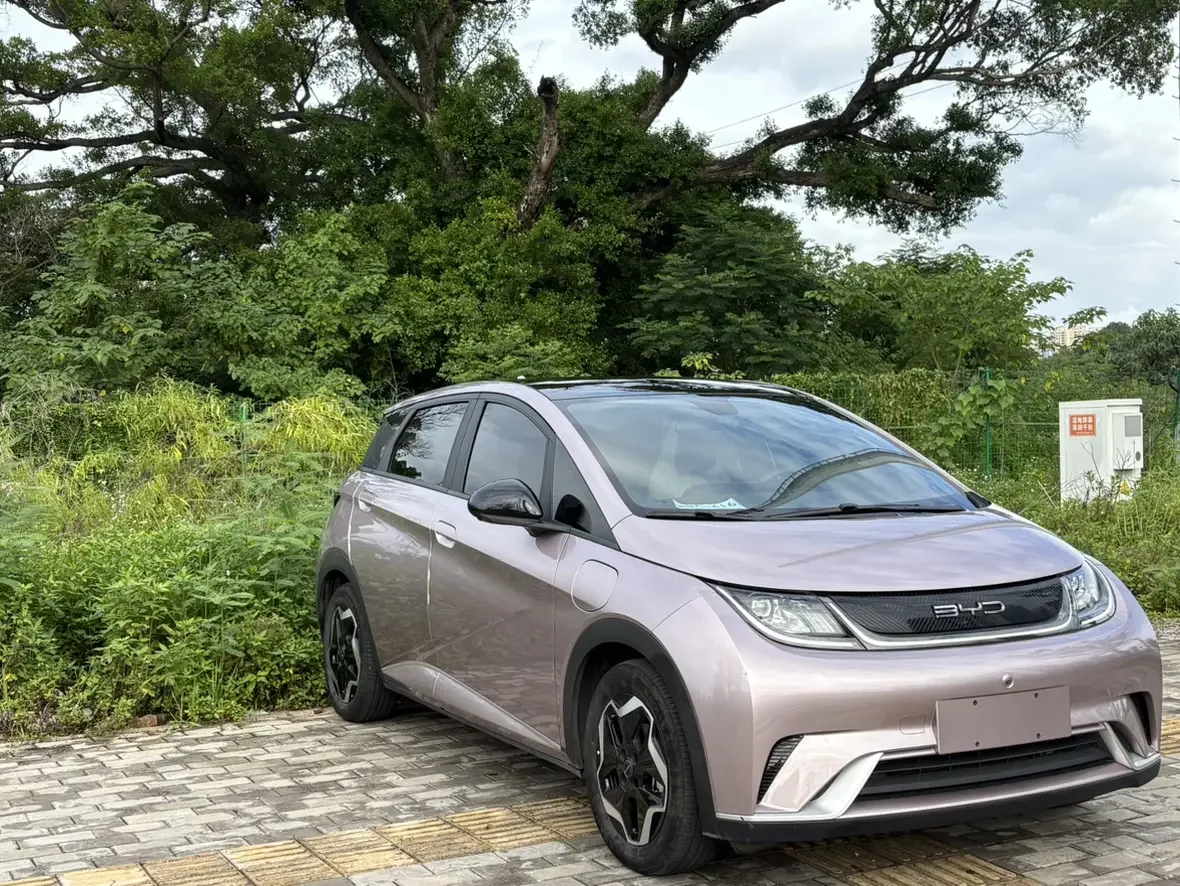 BYD dolphin
