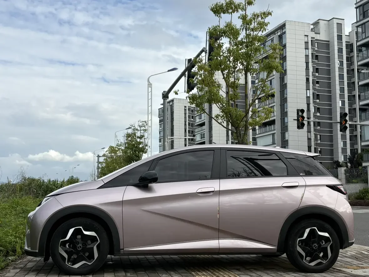 BYD dolphin