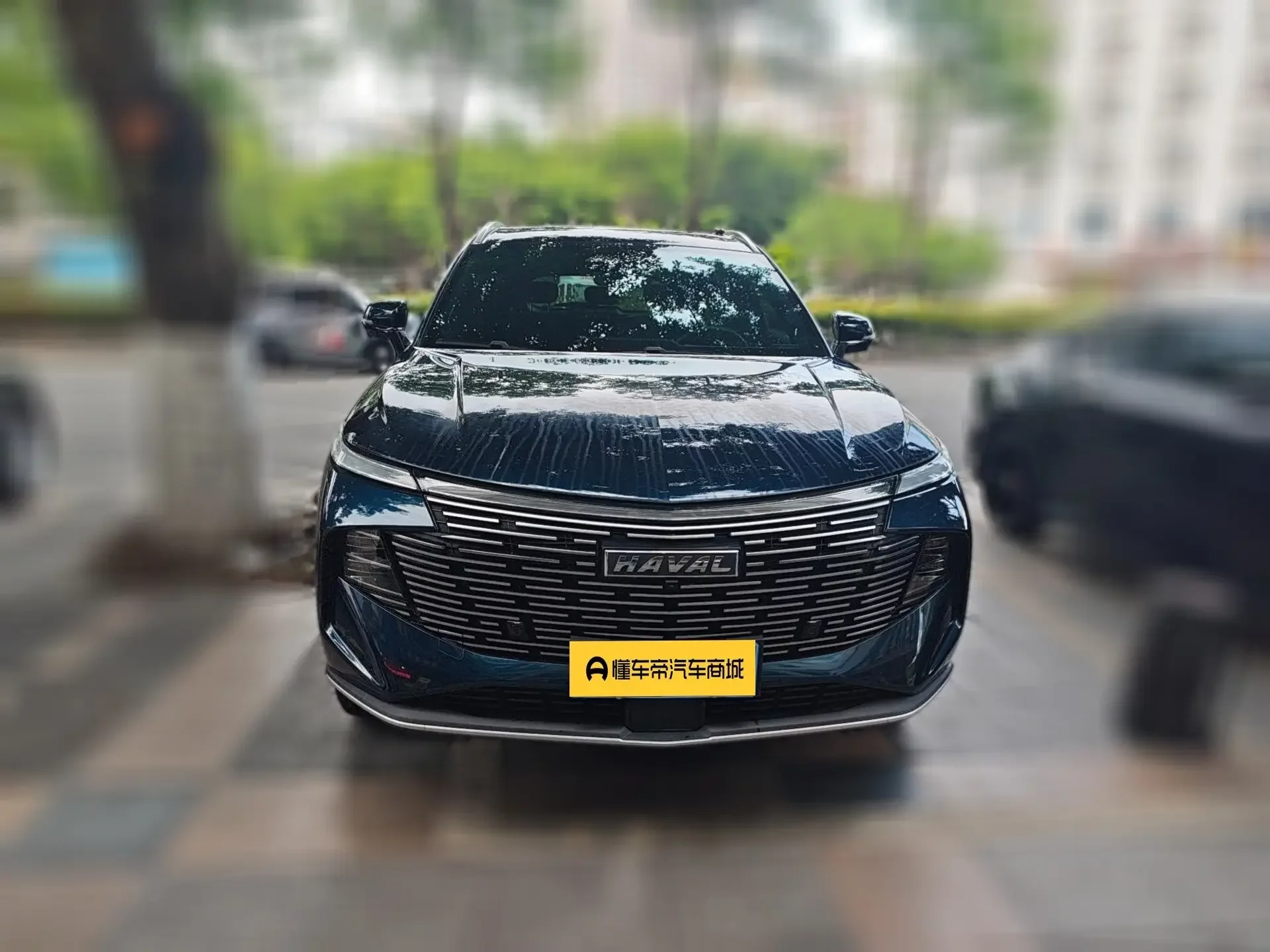 Haval Shenshou