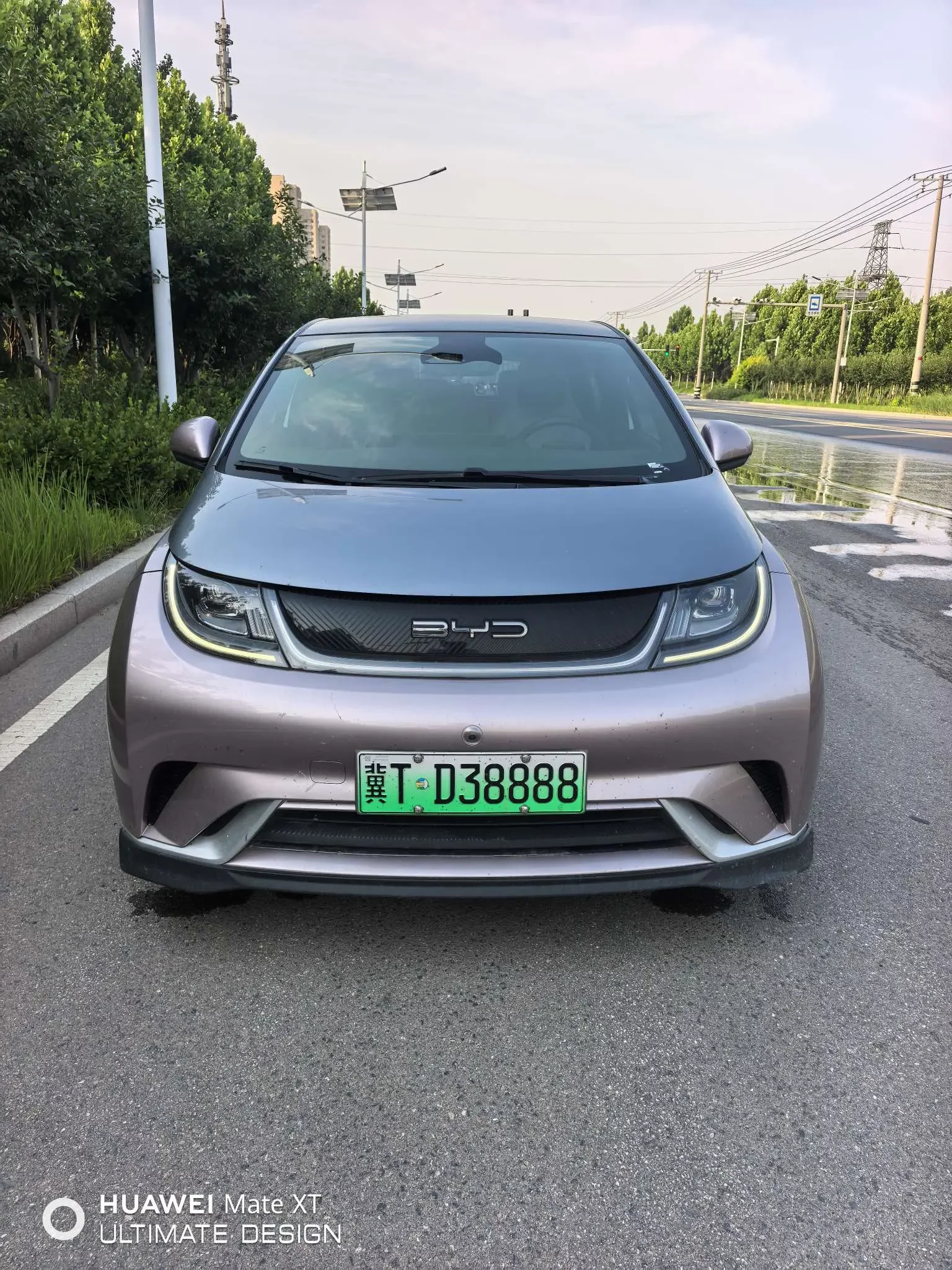 BYD dolphin