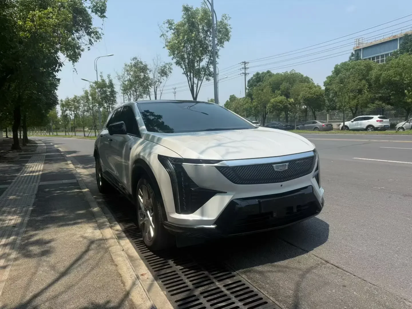 Cadillac IQ Aoge