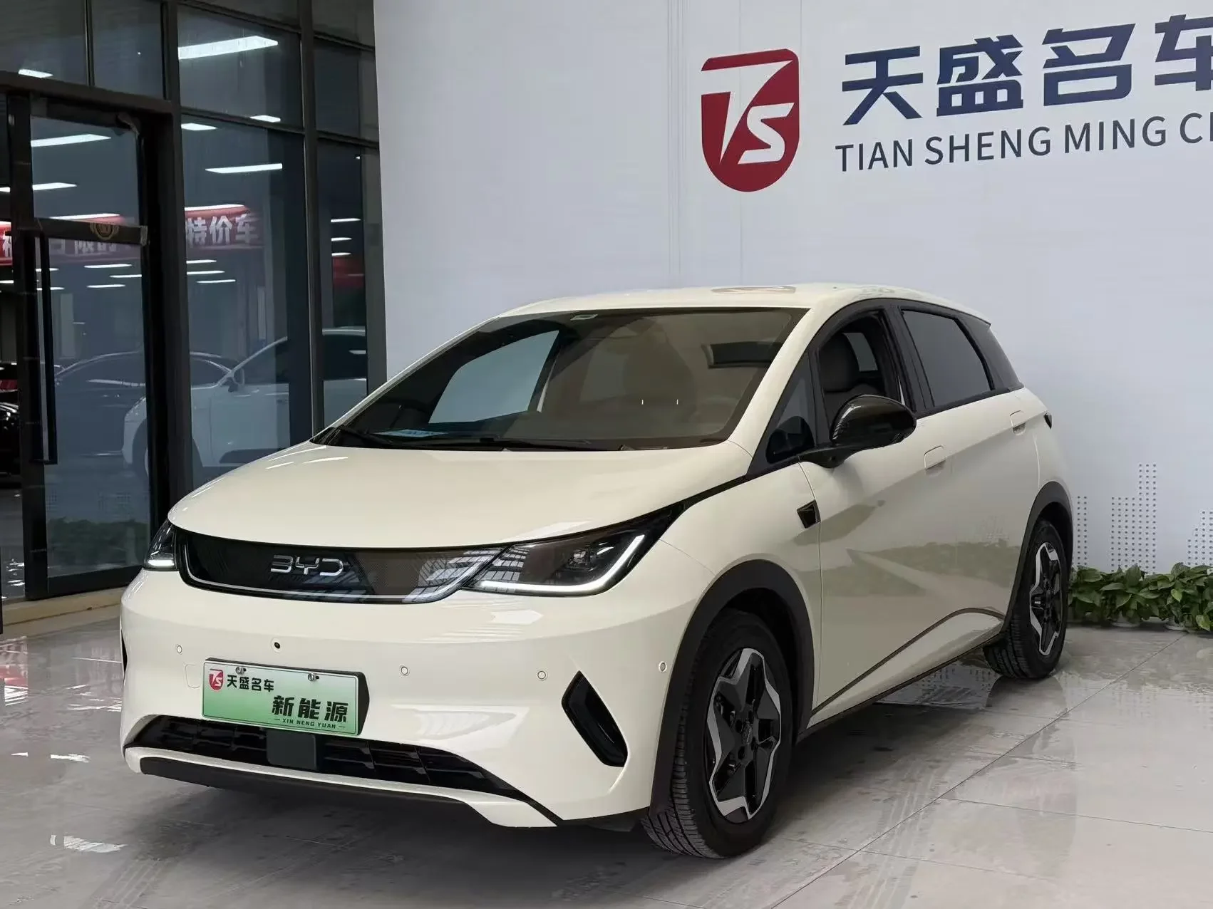 BYD dolphin